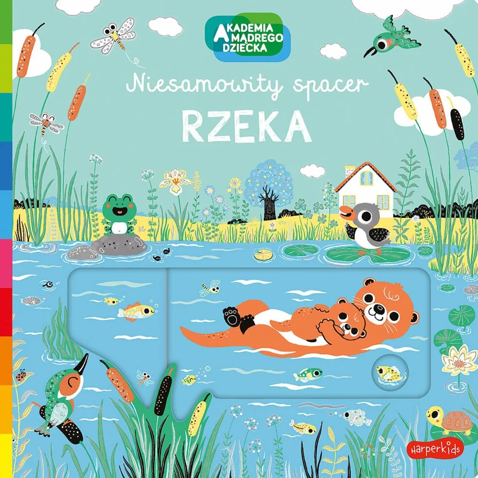 Rzeka. Akademia mądrego dziecka. Niesamowity spacer