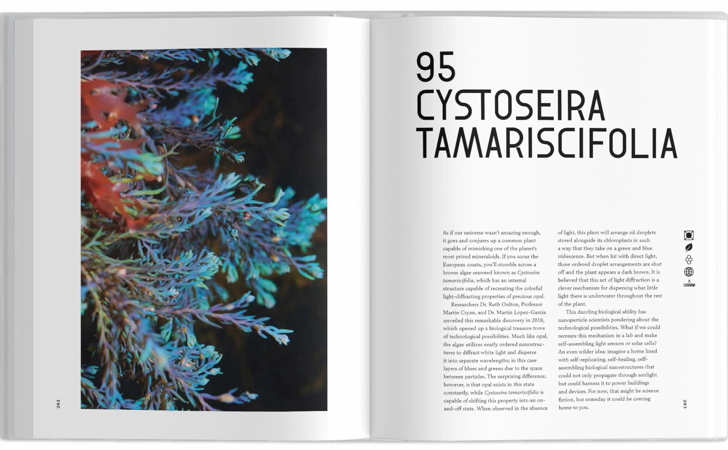 The Universe in 100 Colors: Weird and Wondrous Colors from Science and Nature