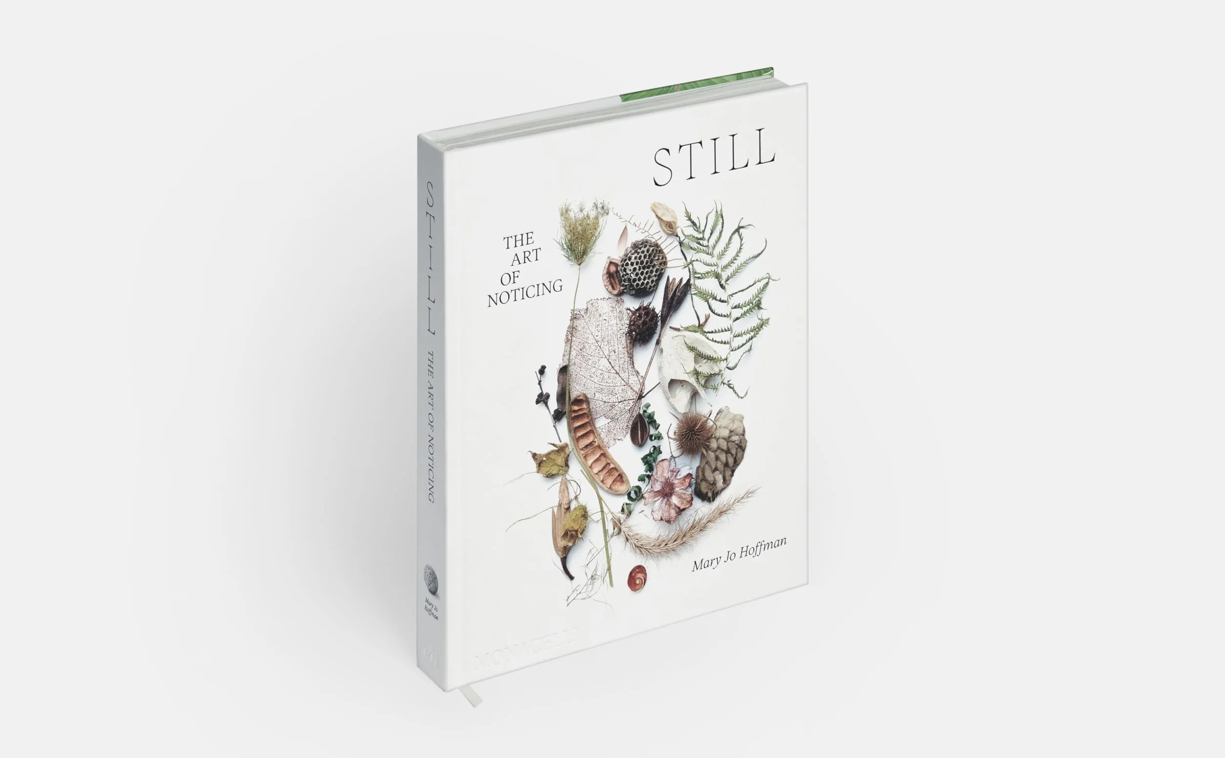 Still: The Art of Noticing