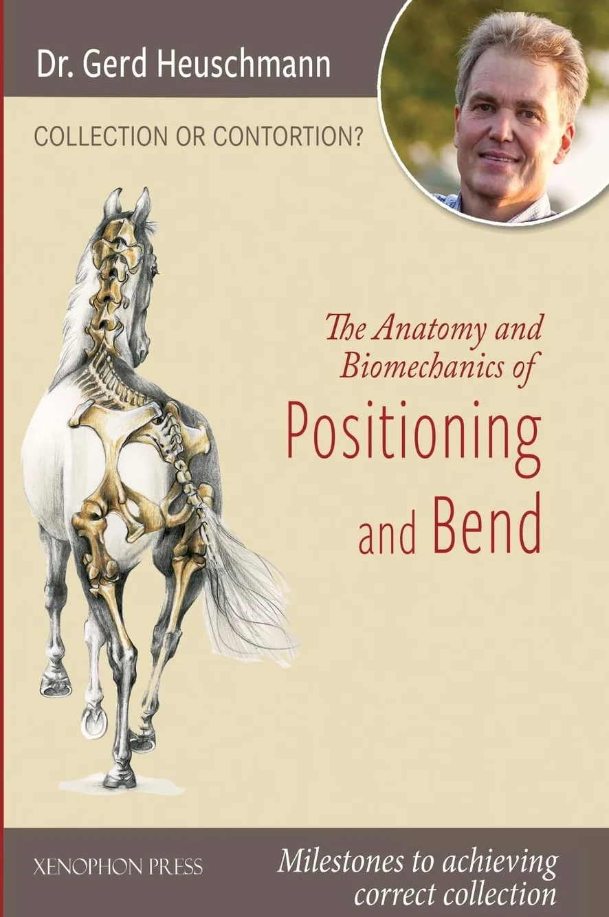 Collection or Contortion: The Anatomy and Biomechanics of Positioning and Bending: Milestones to achieving correct collection