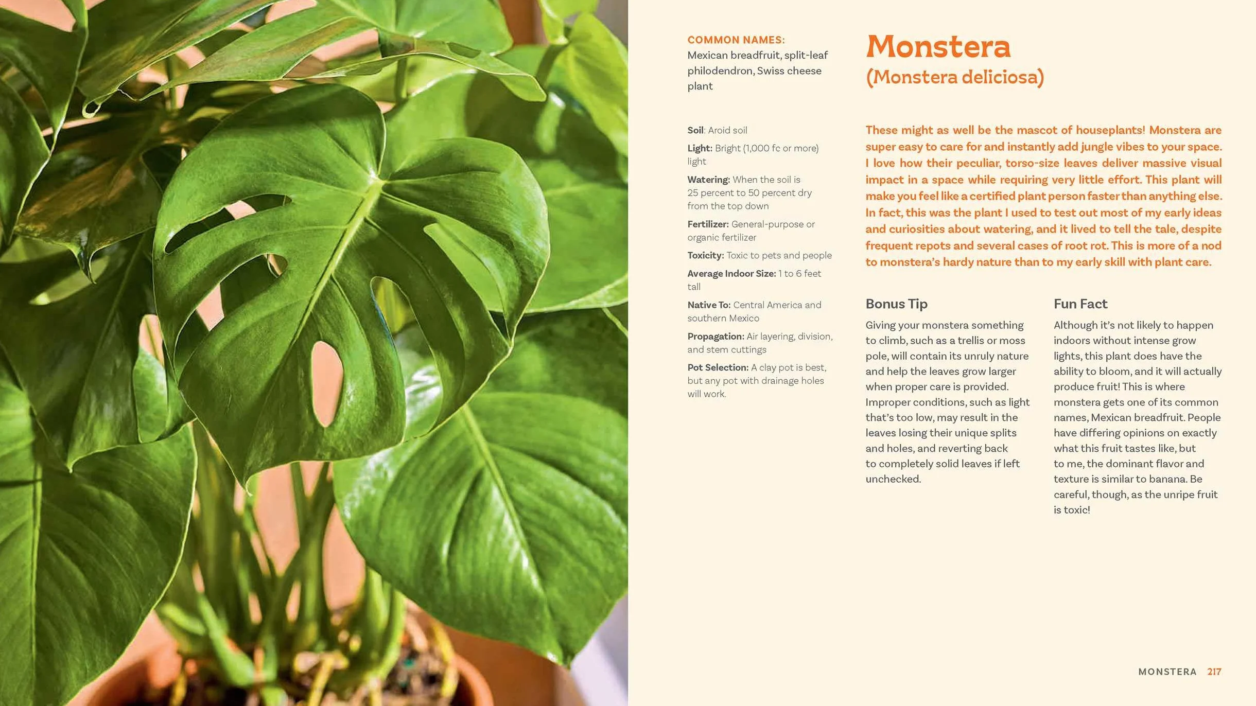For the Love of Houseplants: Caring for & Keeping Plants with Confidence