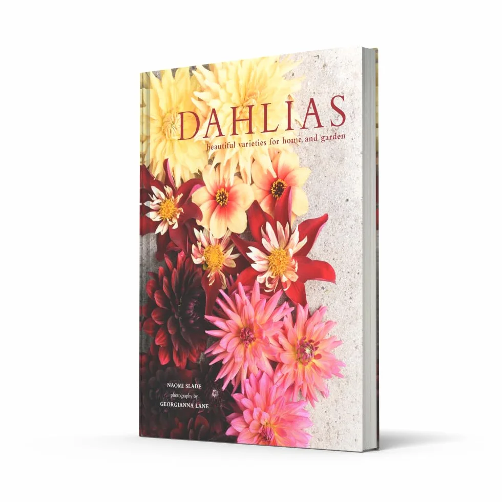 Dahlias: The ultimate flower guide for growing, flowering and cutting varieties for the home and gardening