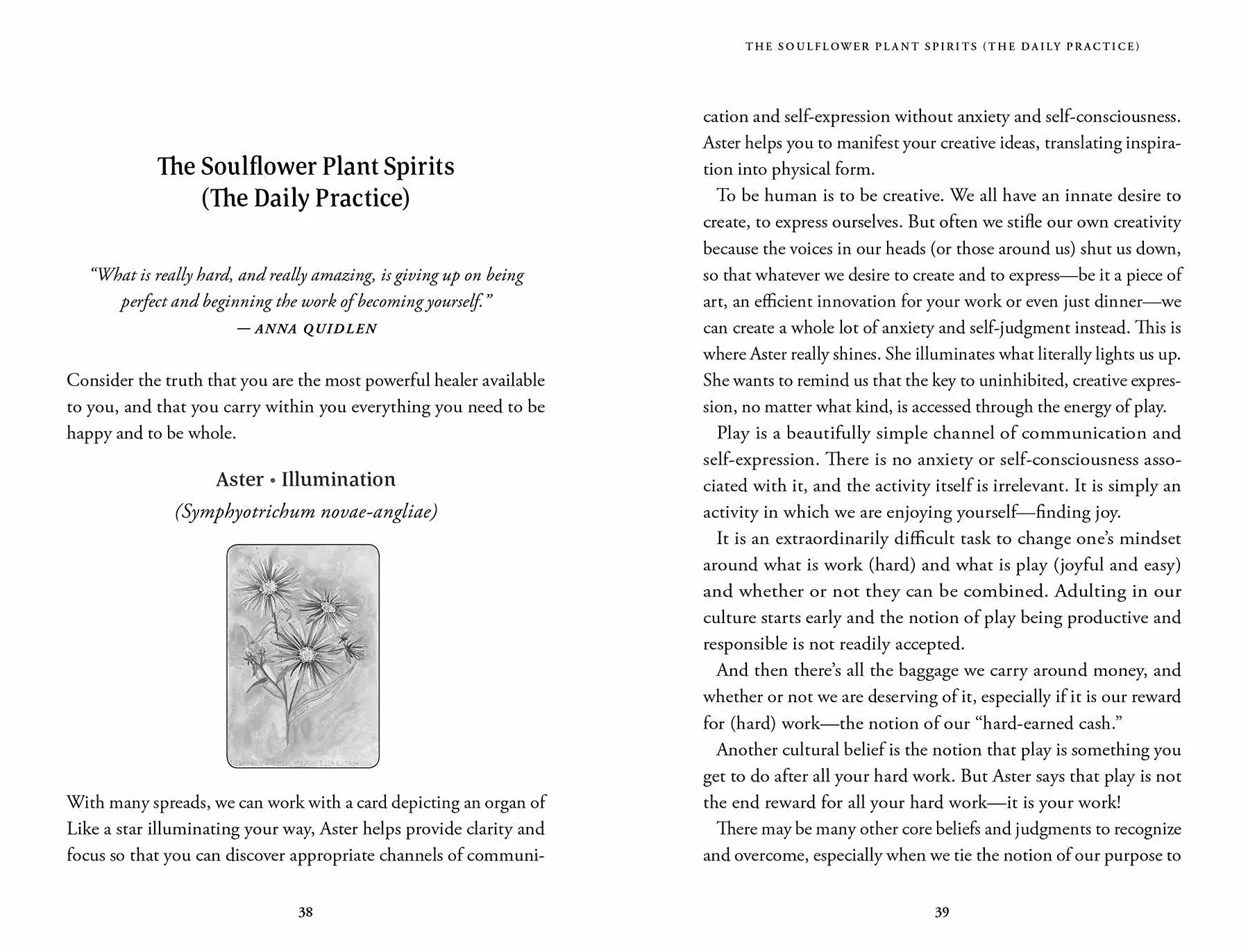 Soulflower Plant Spirit Oracle: 44-Card Deck and Guidebook