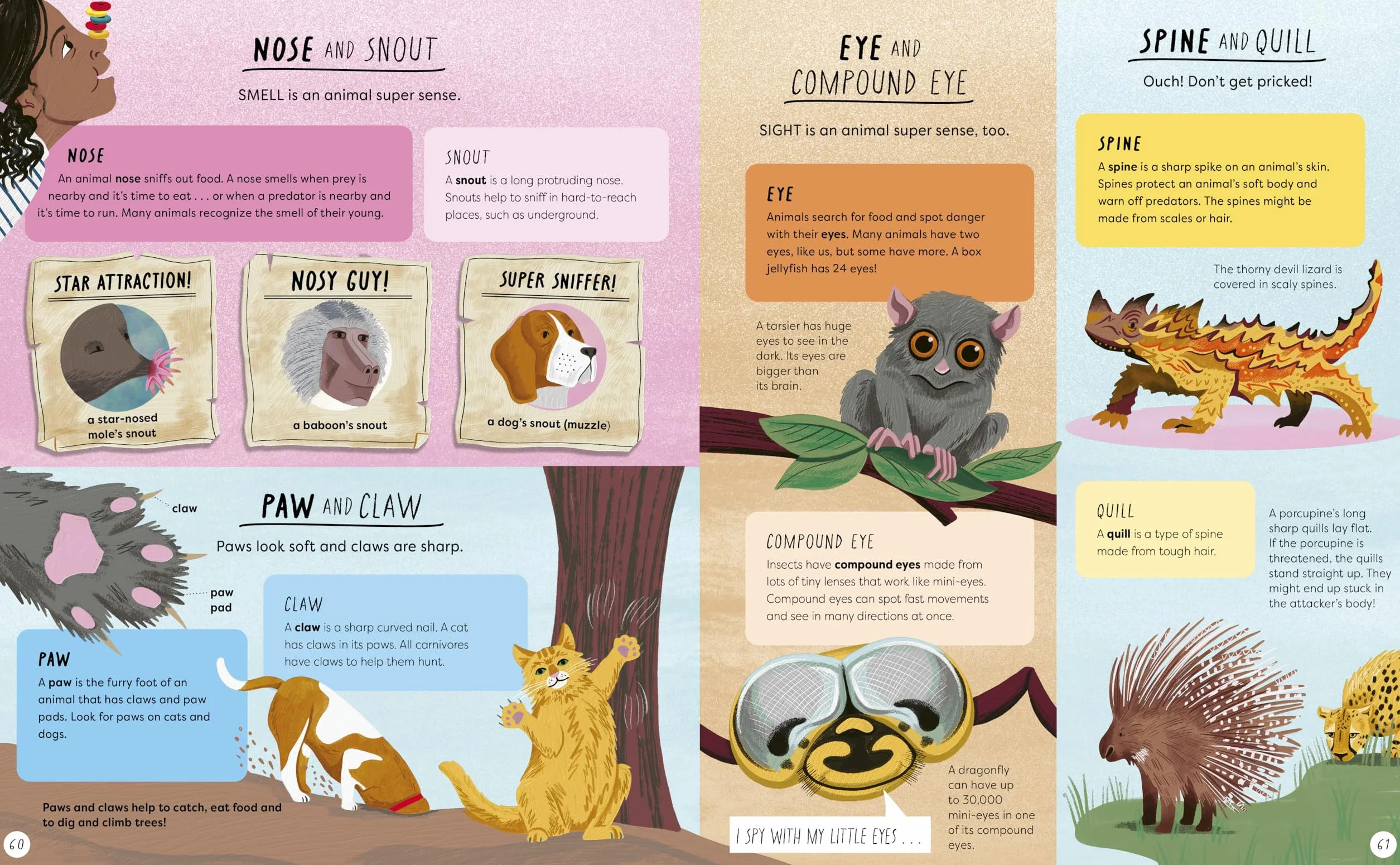 What's the Actually Factually Difference?: How to tell the difference between over 150 things that are similar but different!
