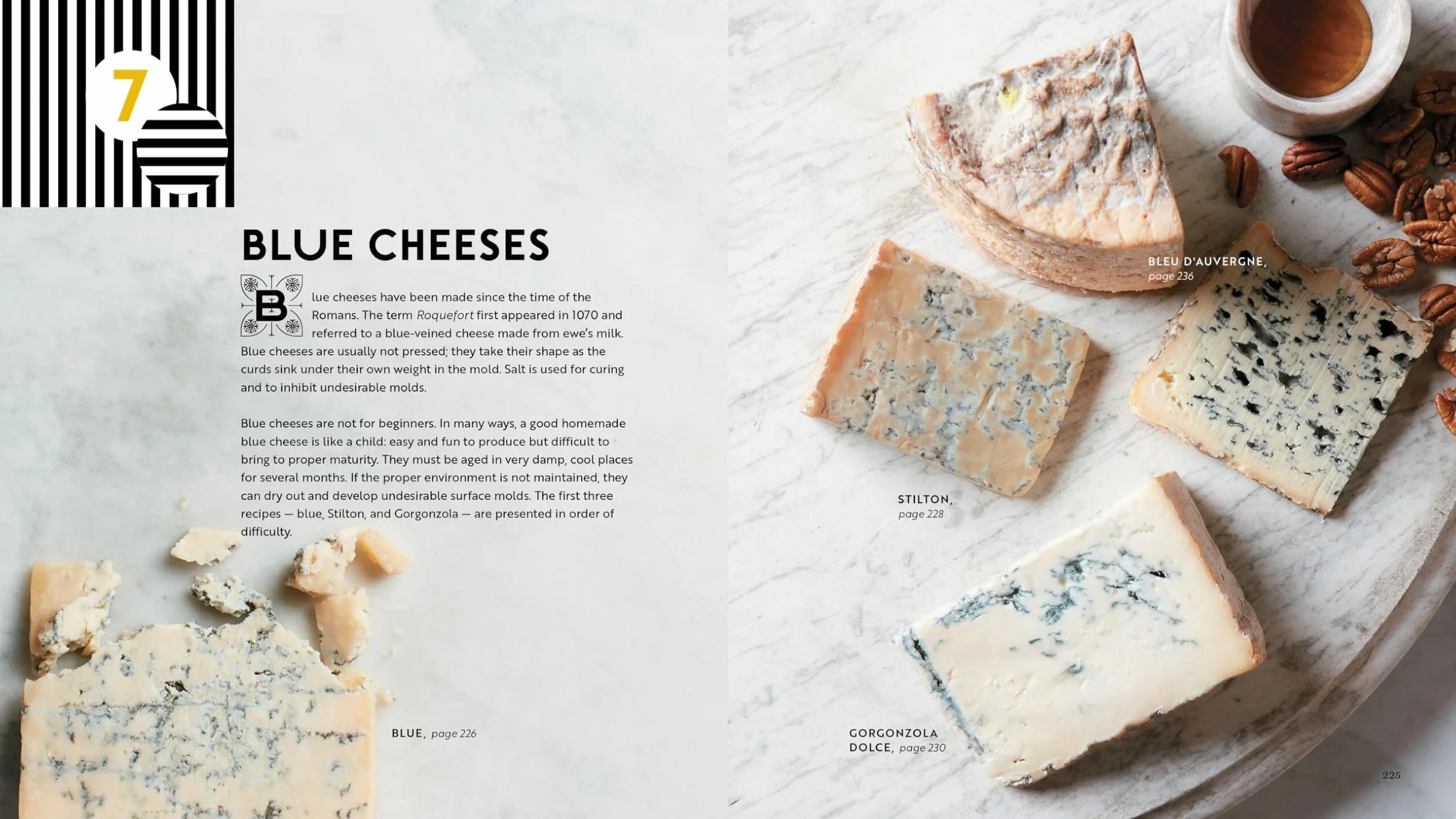 Home Cheese Making, 4th Edition: From Fresh and Soft to Firm, Blue, Goat's Milk, and More; Recipes for 100 Favorite Cheeses