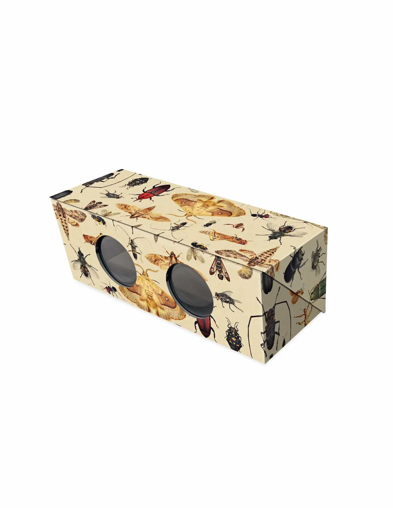 The Magnificent Box of Bugs and Insects