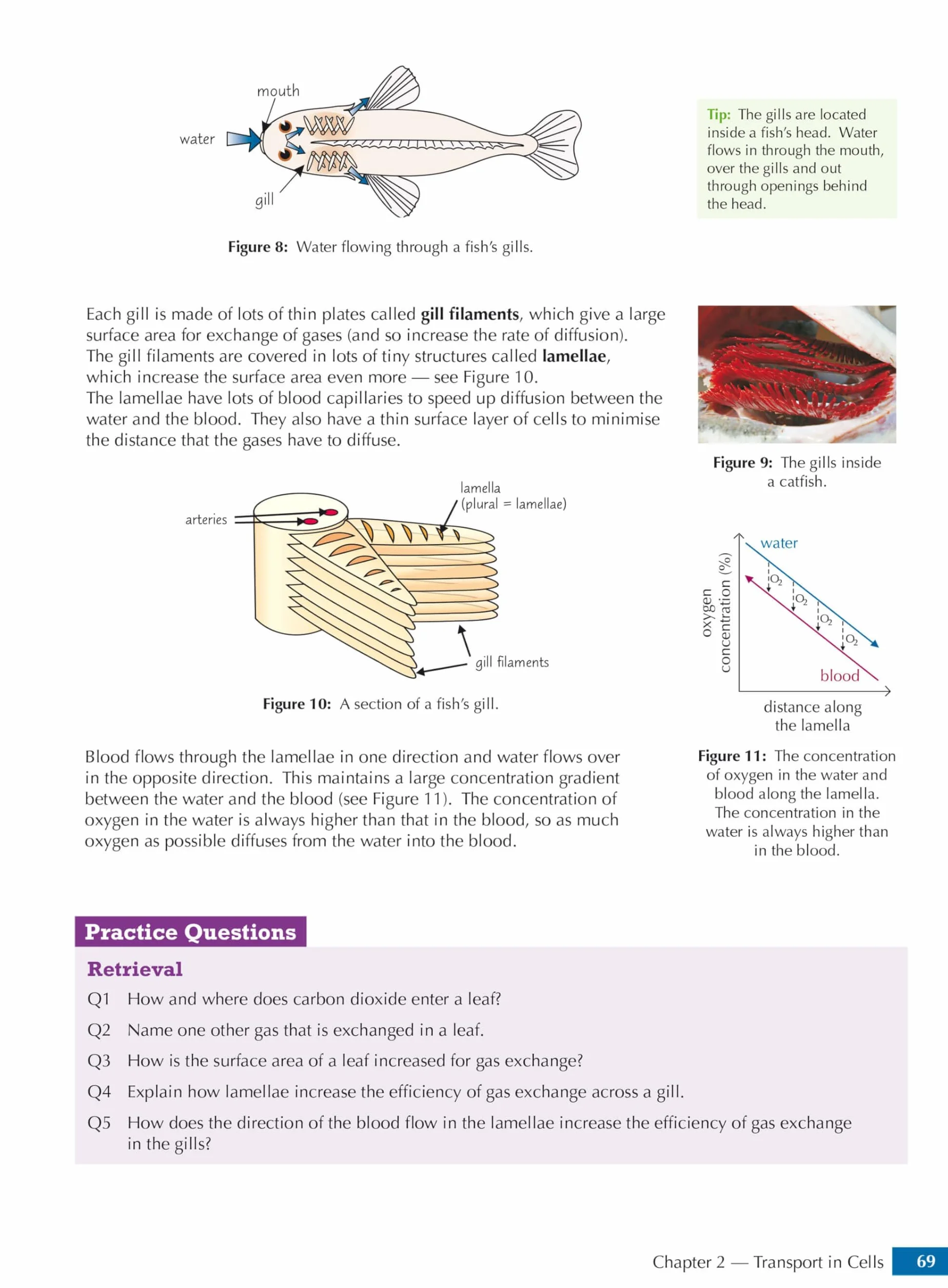 GCSE Biology AQA Student Book (includes Online Edition, Videos and Answers)