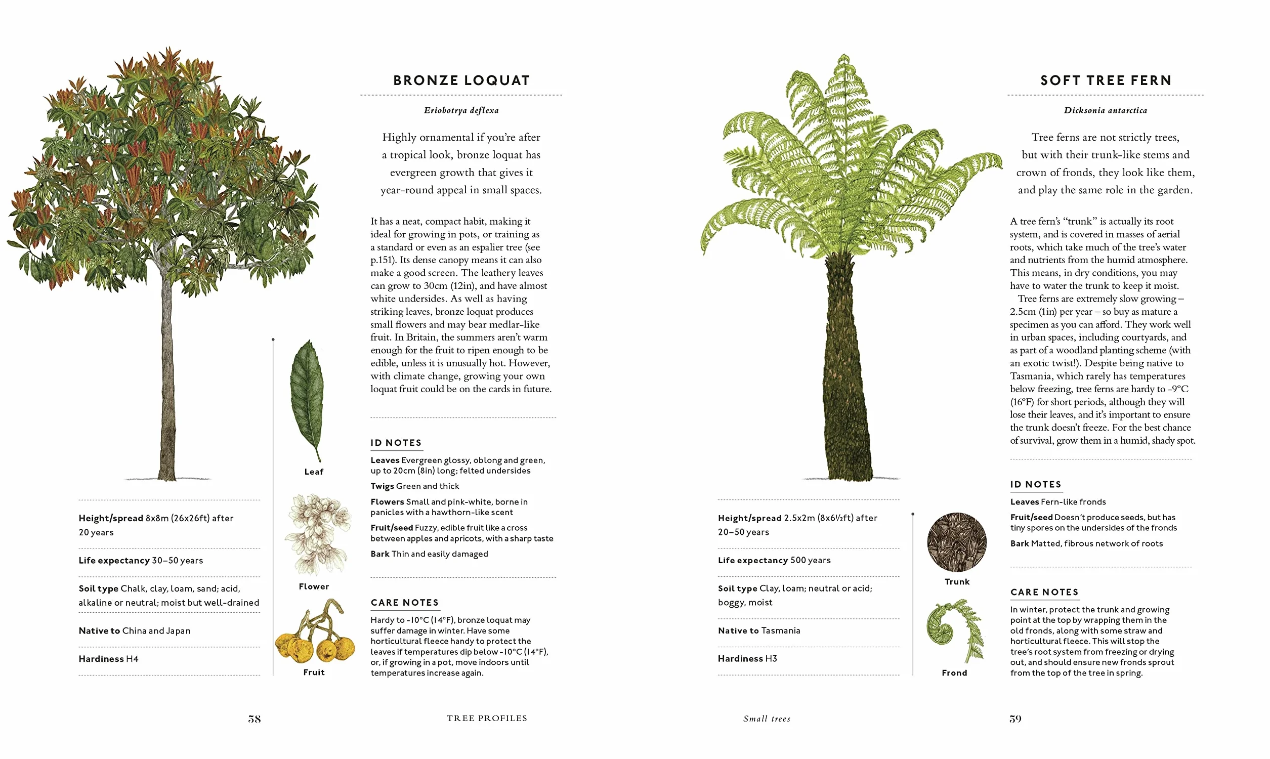 RHS The Tree in My Garden: Choose One Tree, Plant It - and Change the World