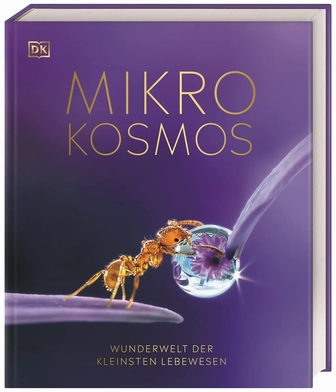 Mikrokosmos - Wunderwelt der kleinsten Lebewesen: Mikroskopbilder und atemberaubende Makrofotografien illustrieren die unsichtbare Welt unseres Mikrokosmos
