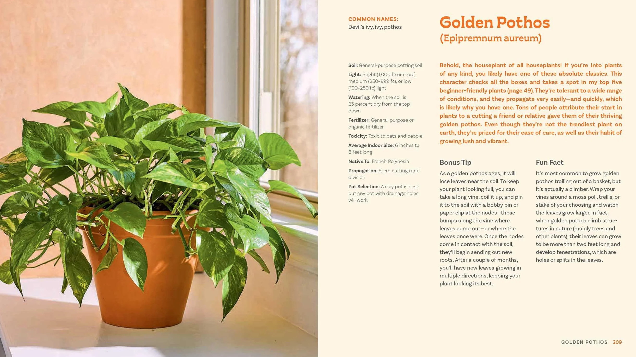 For the Love of Houseplants: Caring for & Keeping Plants with Confidence