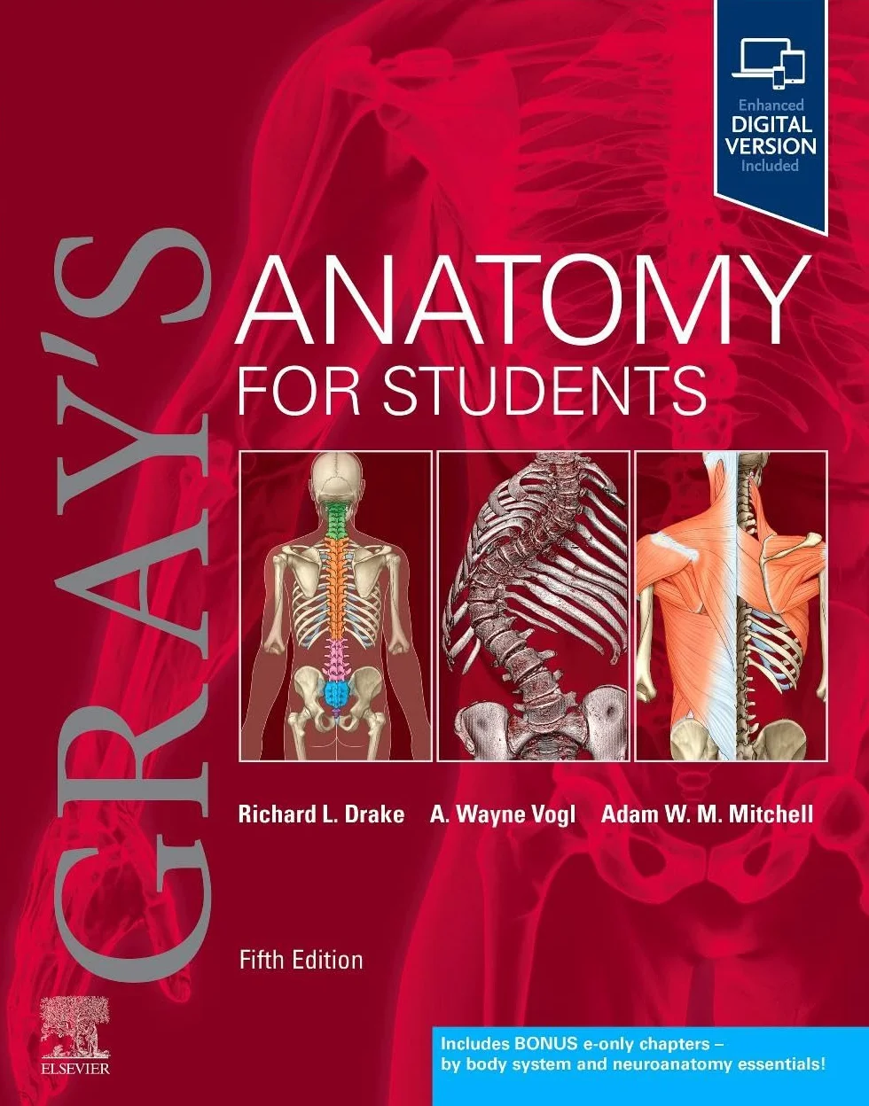 Gray's Anatomy for Students