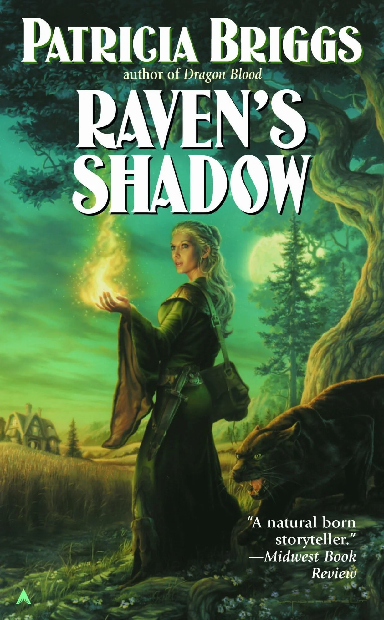Raven's Shadow: 1