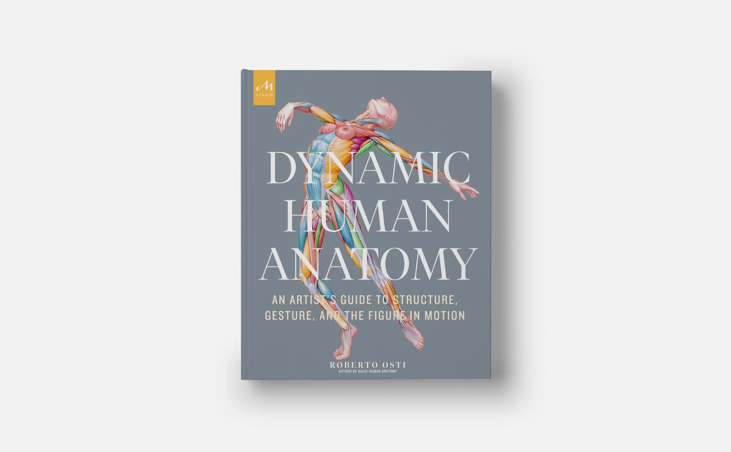 Dynamic Human Anatomy: An Artist's Guide to Structure, Gesture, and the Figure in Motion