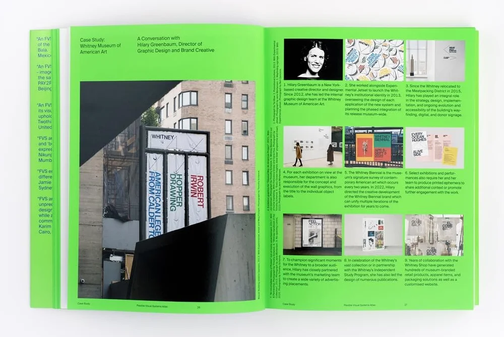 Flexible Visual Systems: The Fvs Atlas