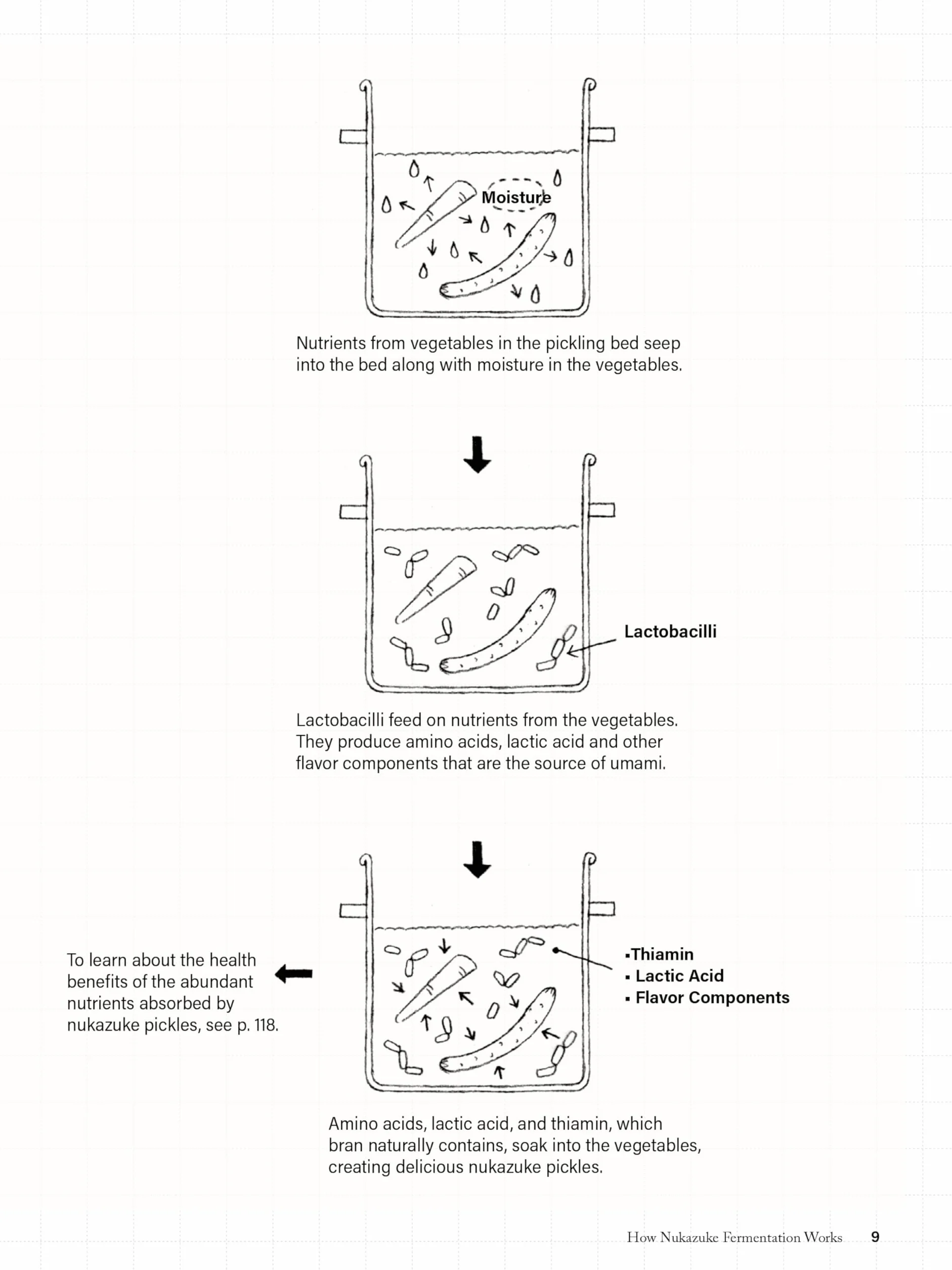 Nukazuke: The Japanese Art of Fermented Pickling