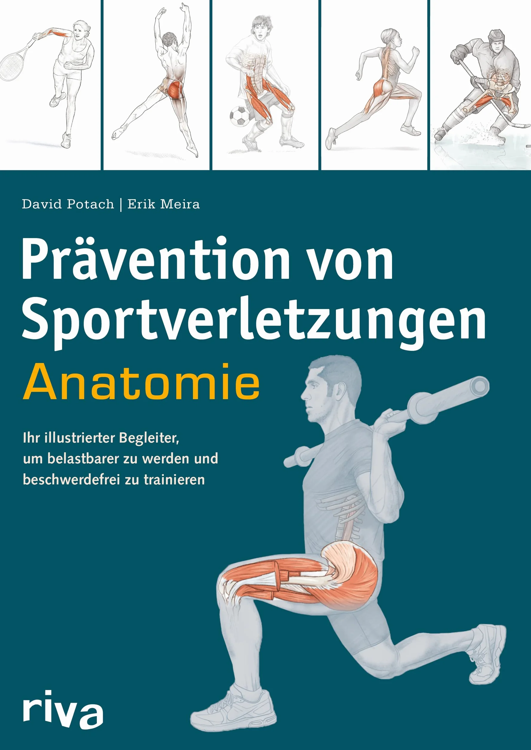 Prävention von Sportverletzungen - Anatomie: Ihr illustrierter Begleiter, um belastbarer zu werden und beschwerdefrei zu trainieren: 6