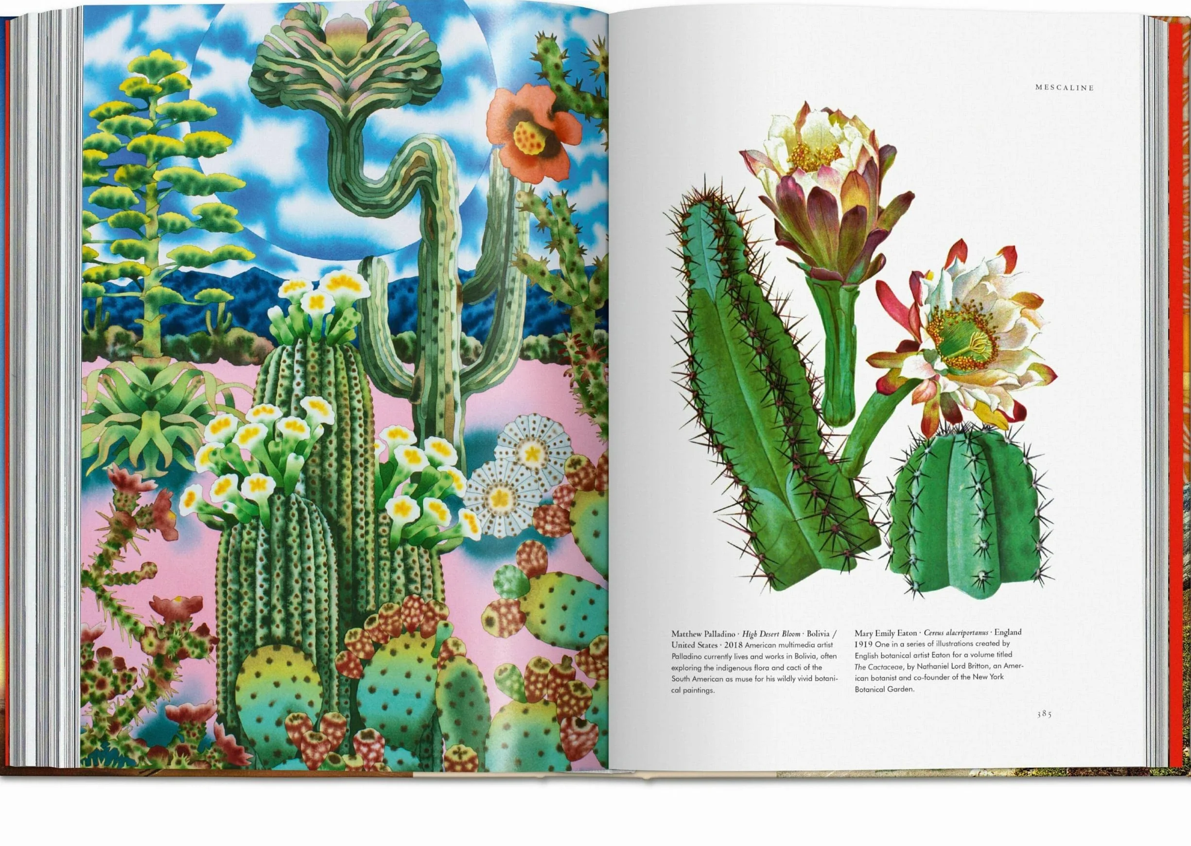 Plant Magick. the Library of Esoterica