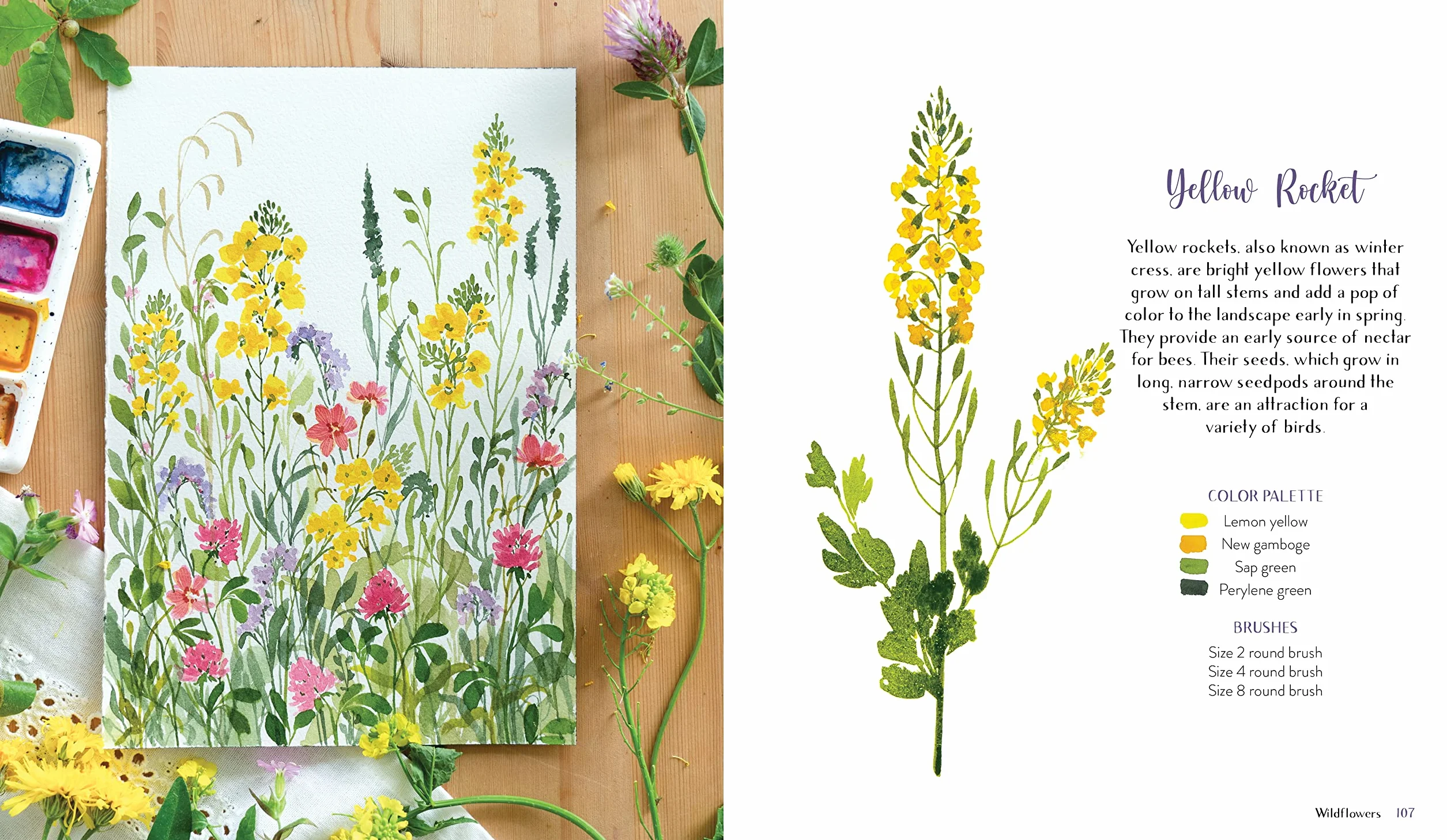Wildflower Watercolor: The Beginner's Guide to Painting Beautiful Florals