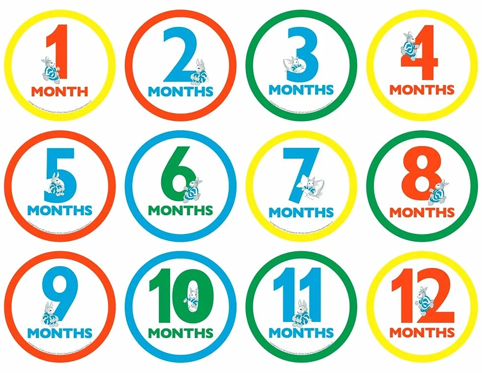 Goodnight Moon Milestone Edition: Book and Milestone Cards