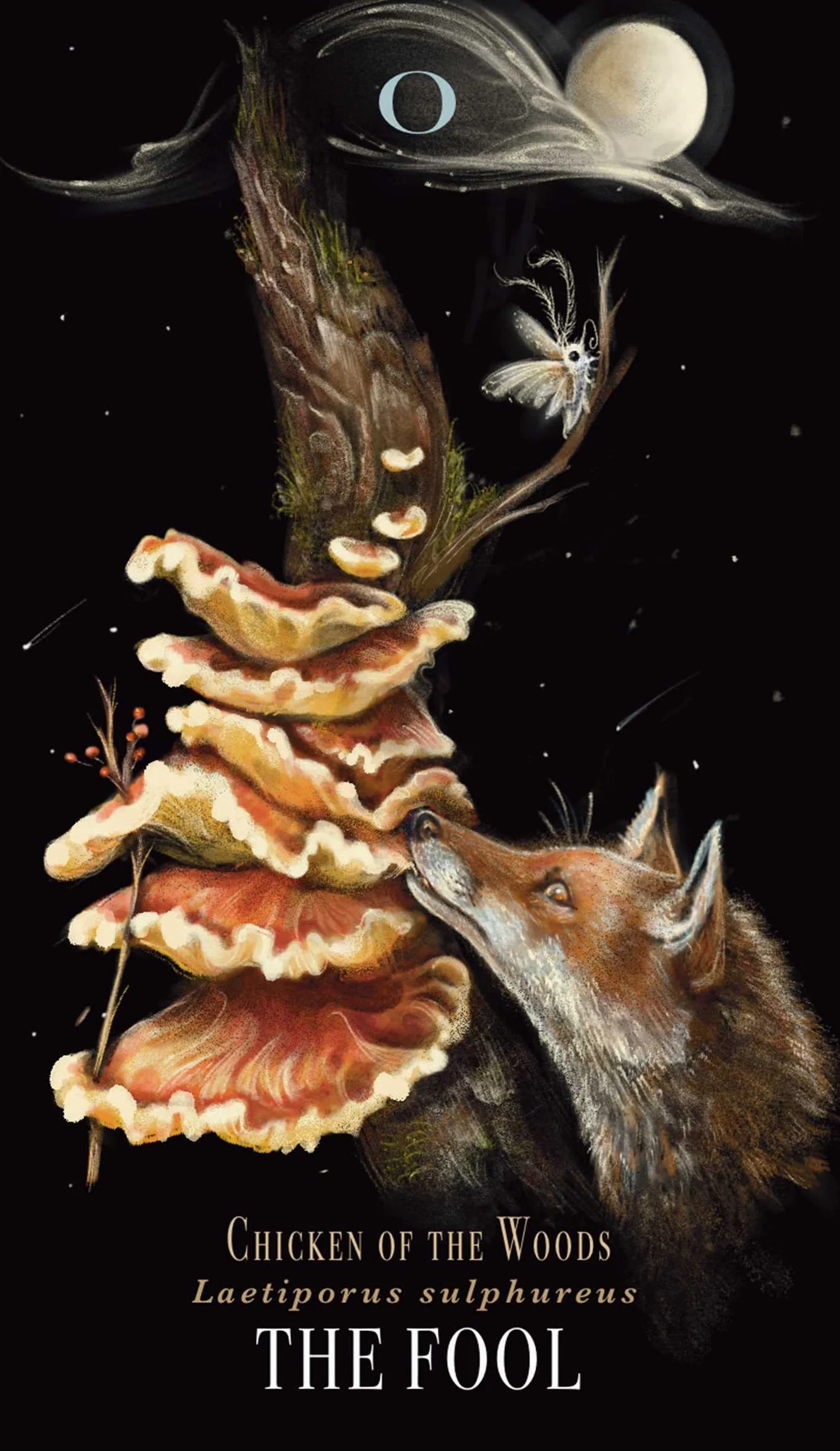 Midnight Magic: A Tarot Deck of Mushrooms