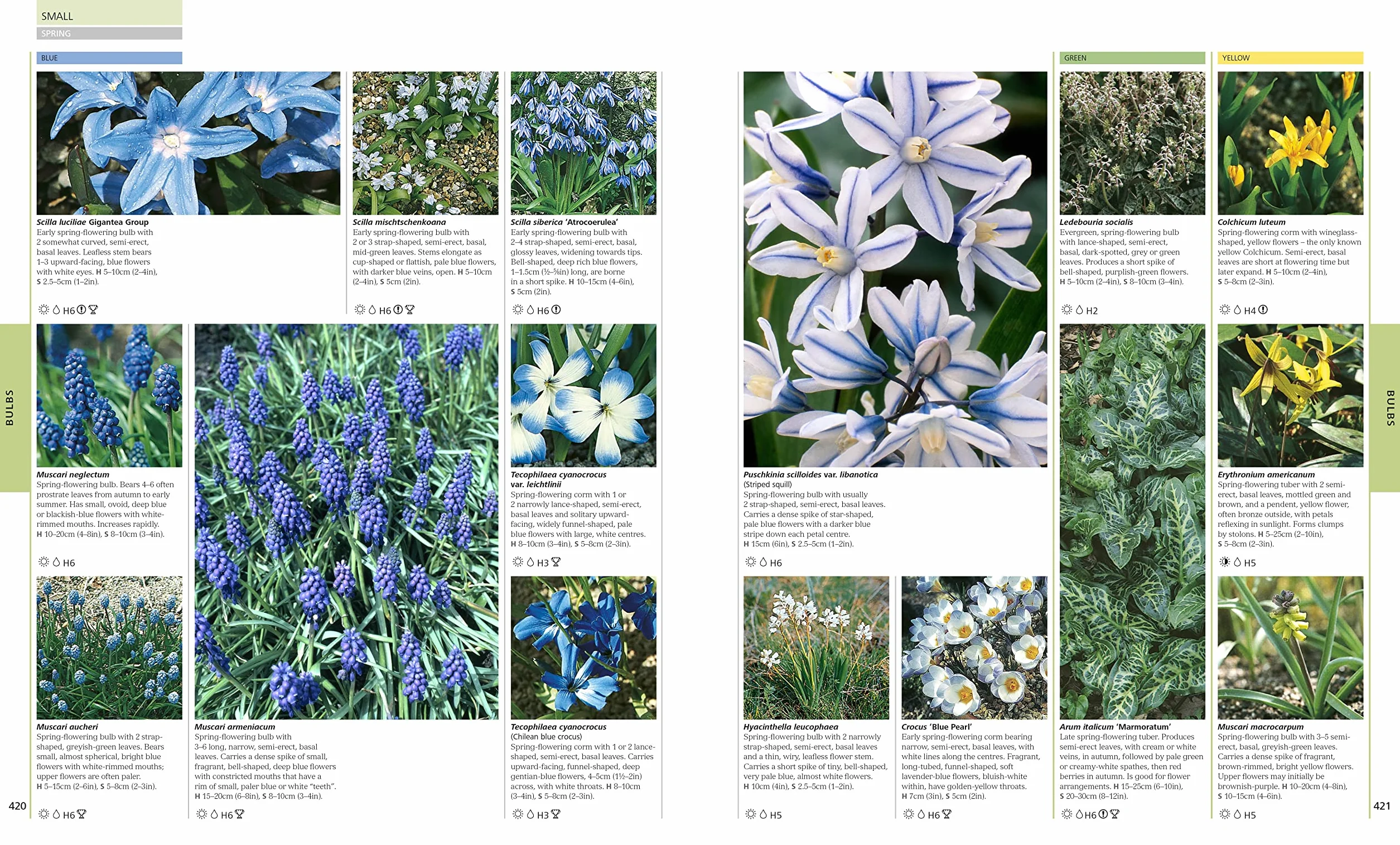 RHS Encyclopedia Of Plants and Flowers: 8000 plants with more than 1400 new entries