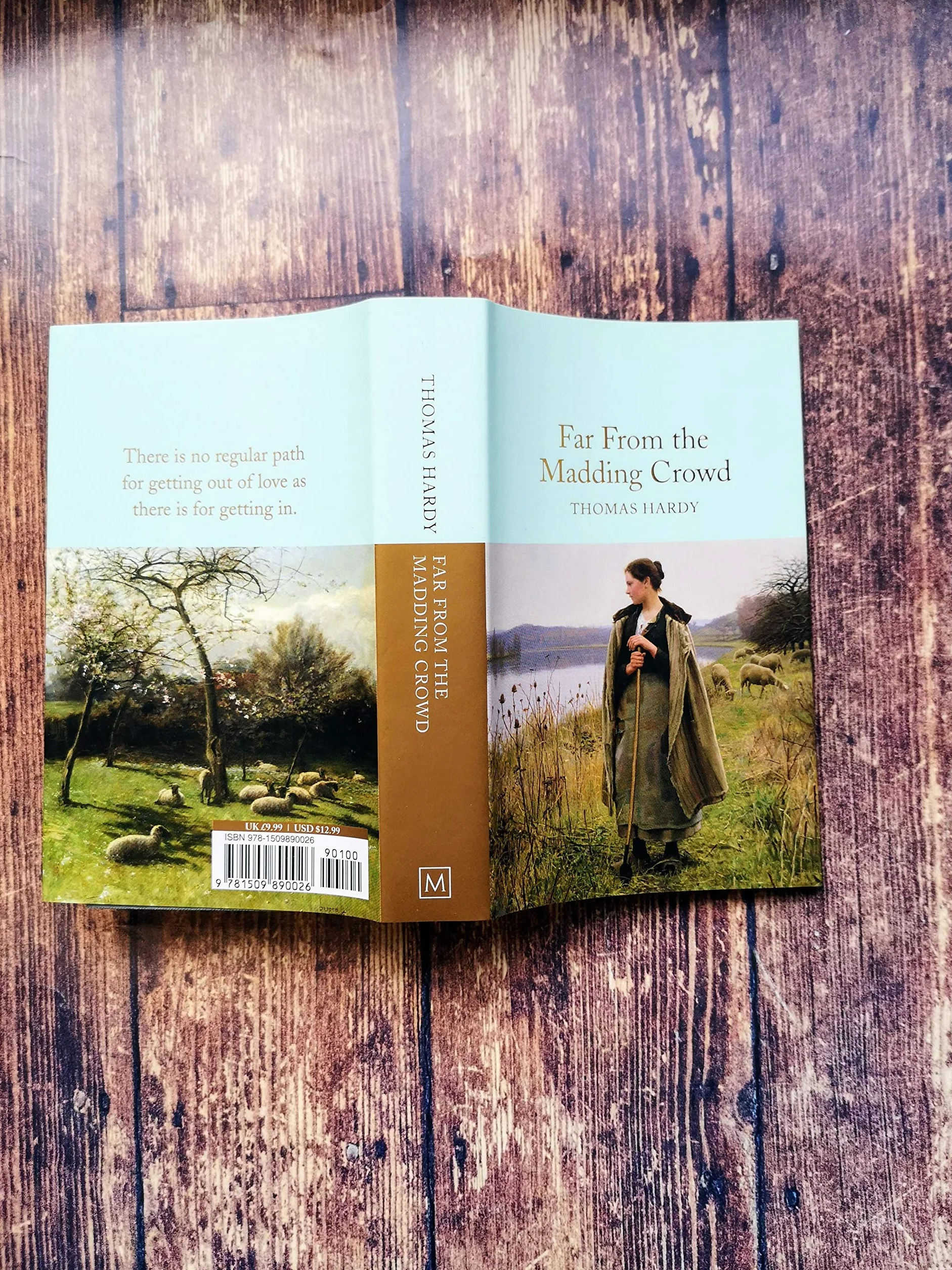 Far From the Madding Crowd: Thomas Hardy