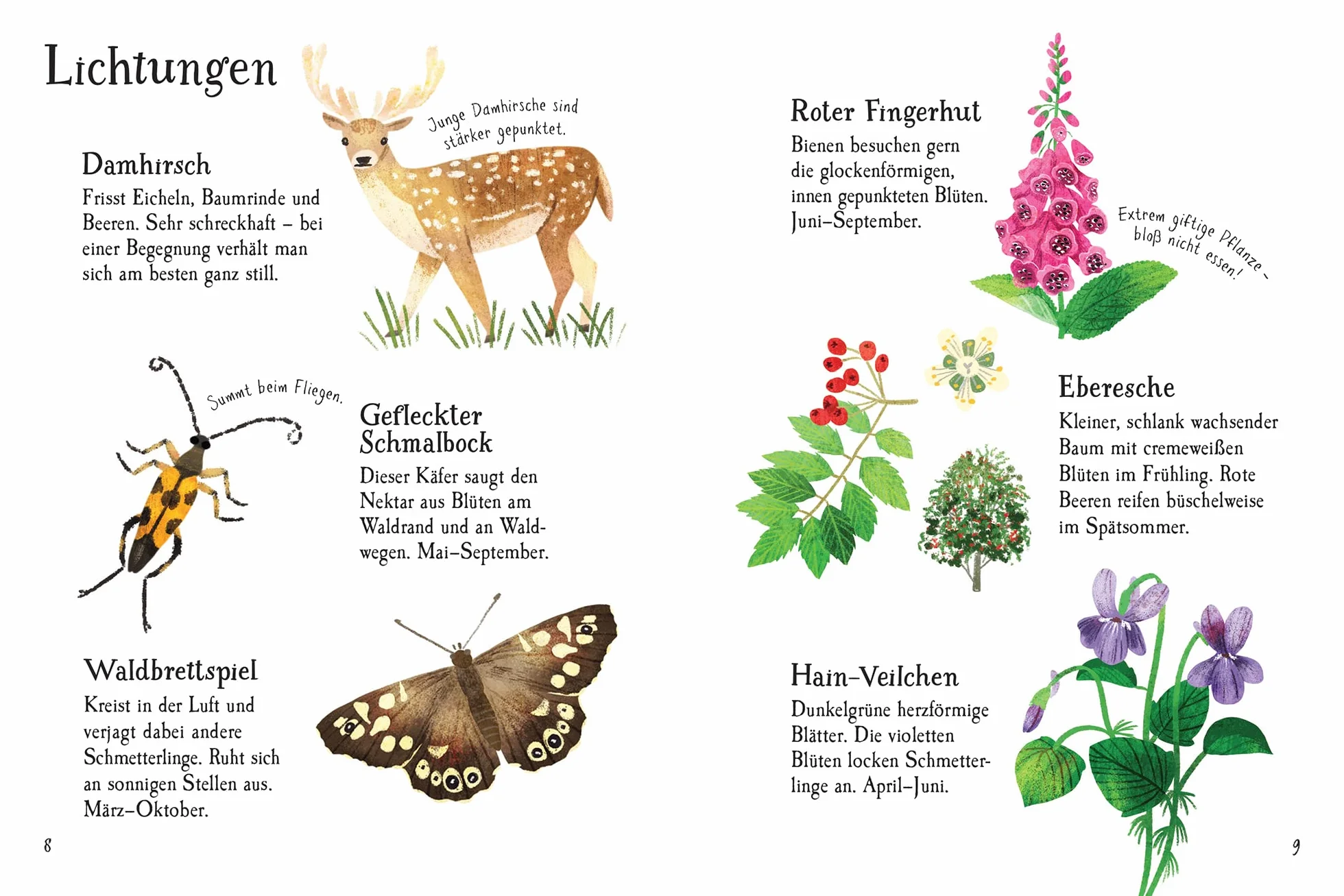 Usborne Minis Naturführer: Im Wald
