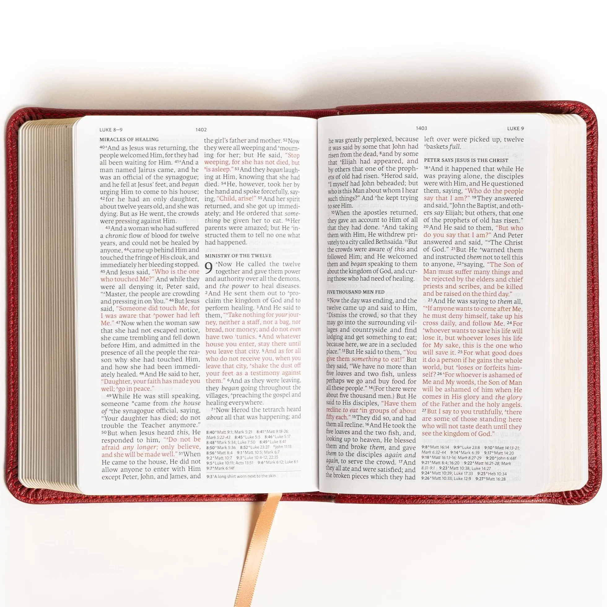 NASB Large Print Compact Reference Bible, Burgundy Leathertouch