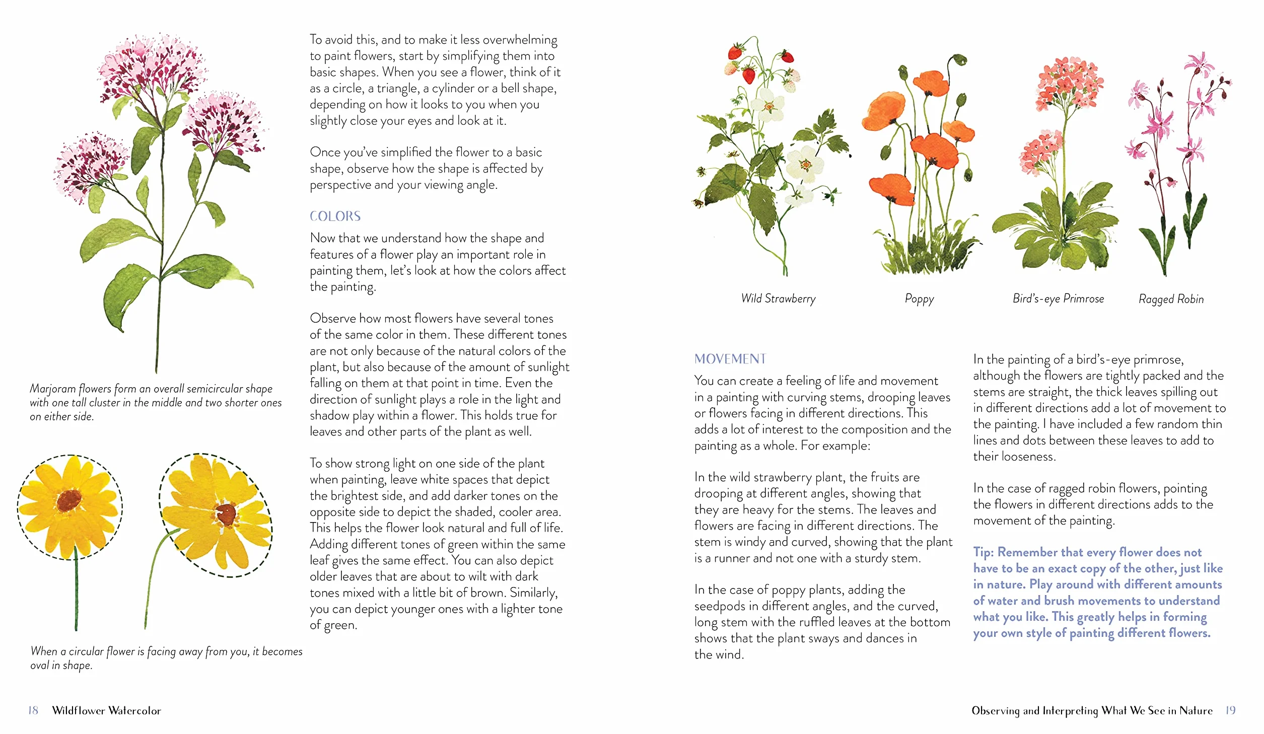 Wildflower Watercolor: The Beginner's Guide to Painting Beautiful Florals
