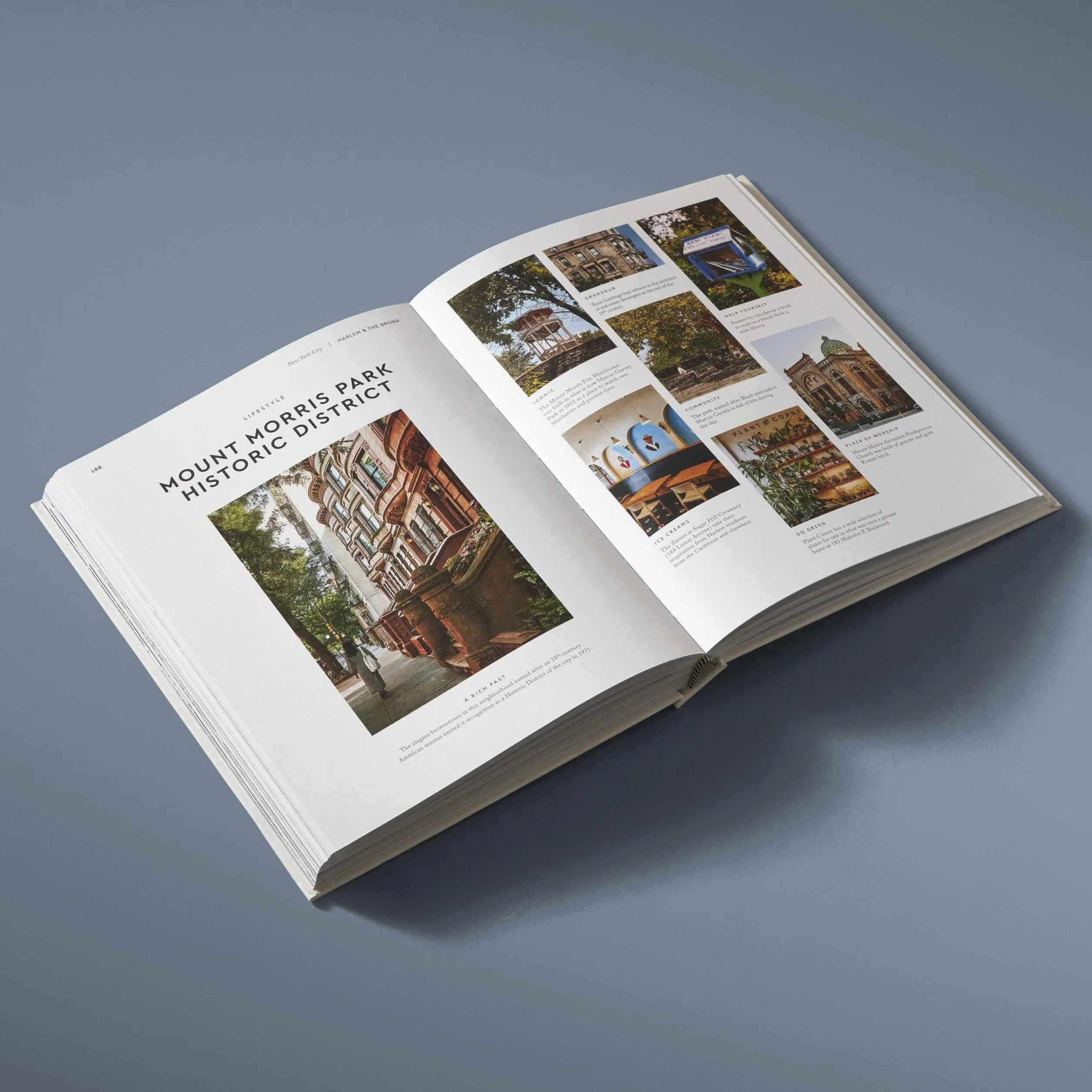 The Extraordinary Guide New York /anglais: An Insider Tour of Art, Food, and Culture