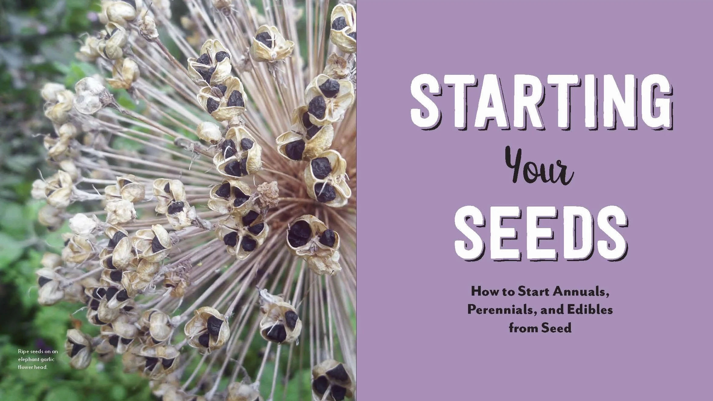 Plant Parenting: Easy Ways to Make More Houseplants, Vegetables, and Flowers