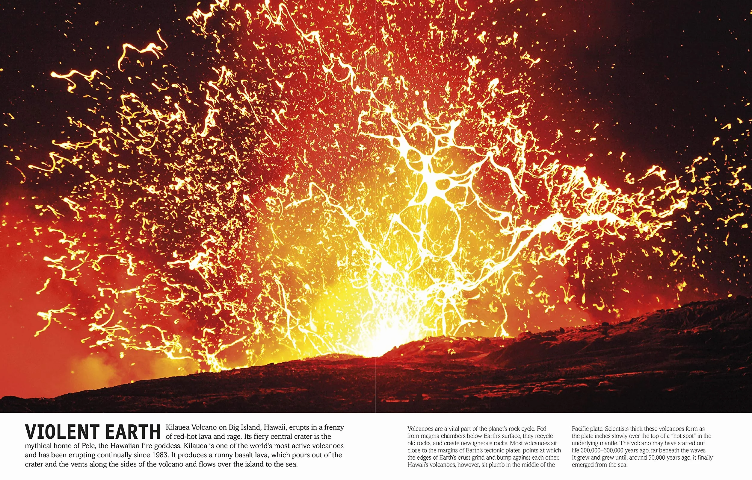 The Our World in Pictures: The Rock and Gem Book: ...And Other Treasures of the Natural World