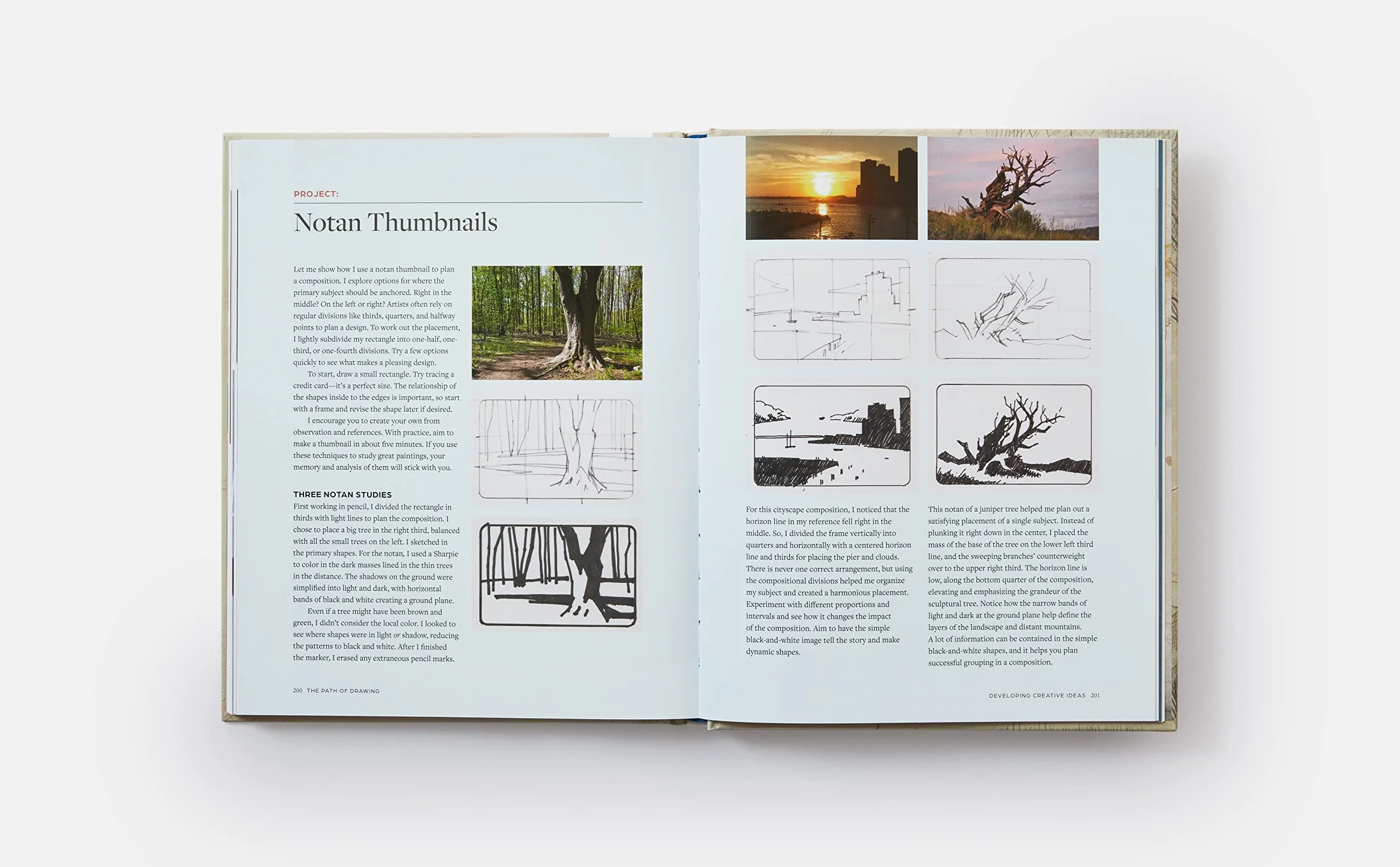 The Path of Drawing: Lessons for Everyday Creativity and Mindfulness
