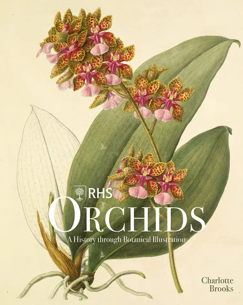 RHS Orchids /anglais: A History Through Botanical Illustration