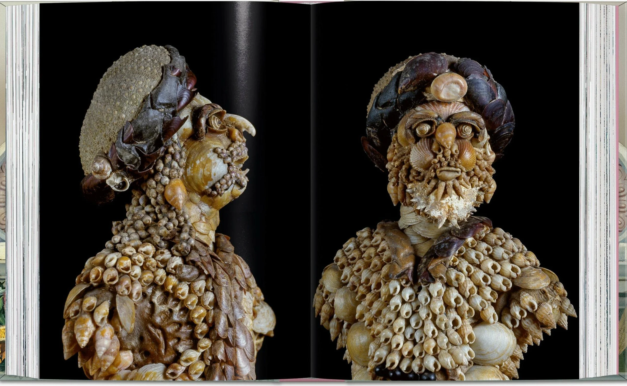 Massimo Listri: Cabinet of Curiosities: Cabinet of Curiosities. 45th Ed.