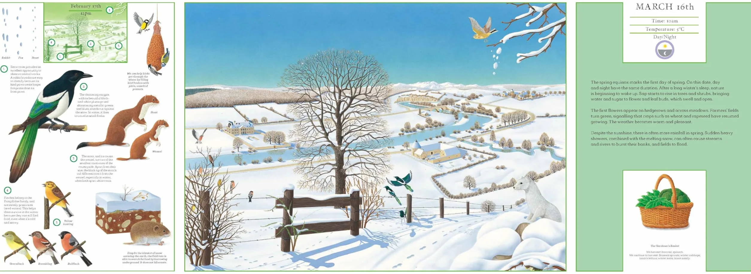 A Year in Nature: Explore the Countryside, Month by Month