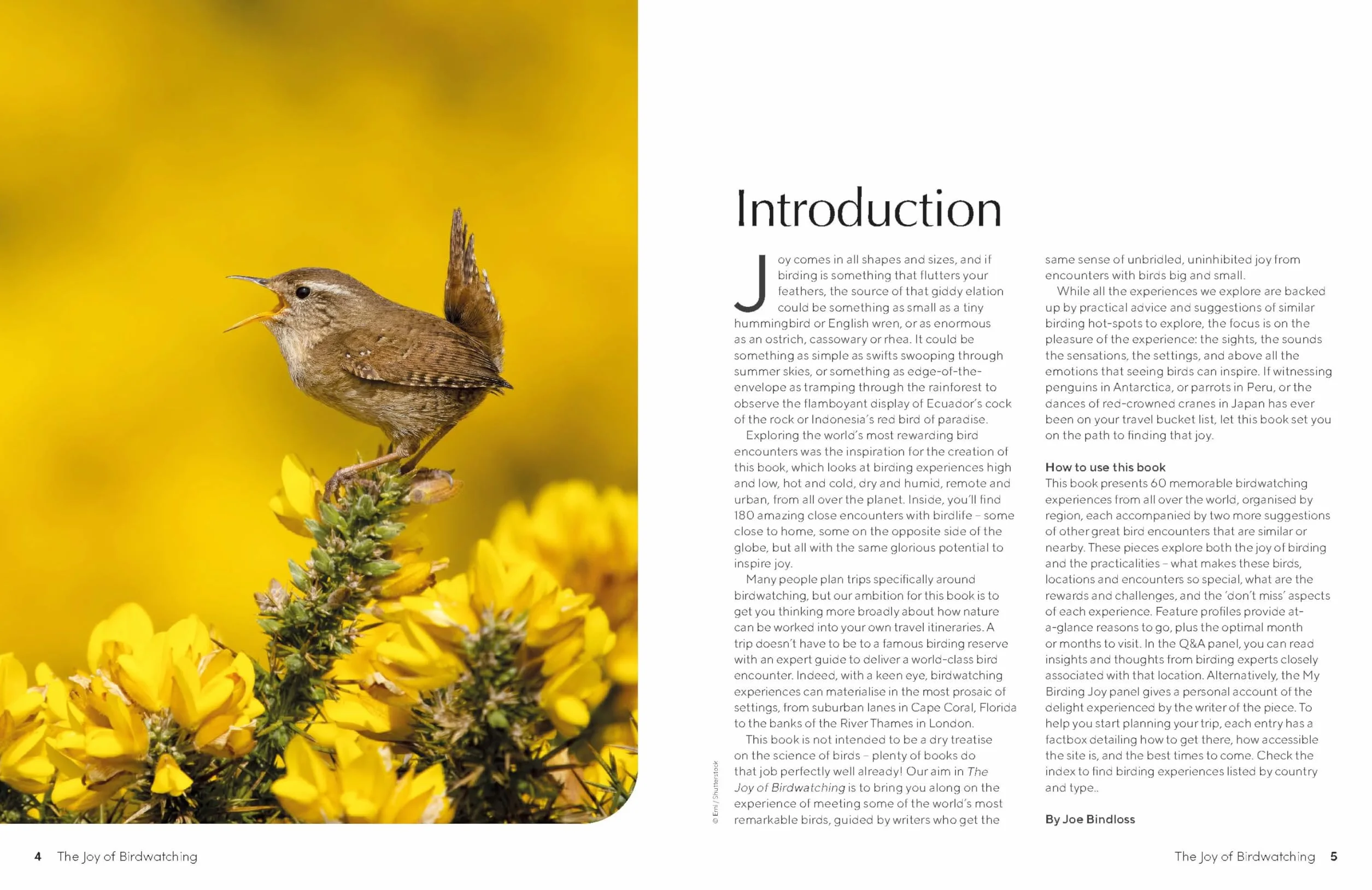 The Joy of Birdwatching - anglais: The World's Most Joyous Birding Adventures | Connect with Nature & Meet Remarkable Creatures | Packed with Tips on Where & When to Go