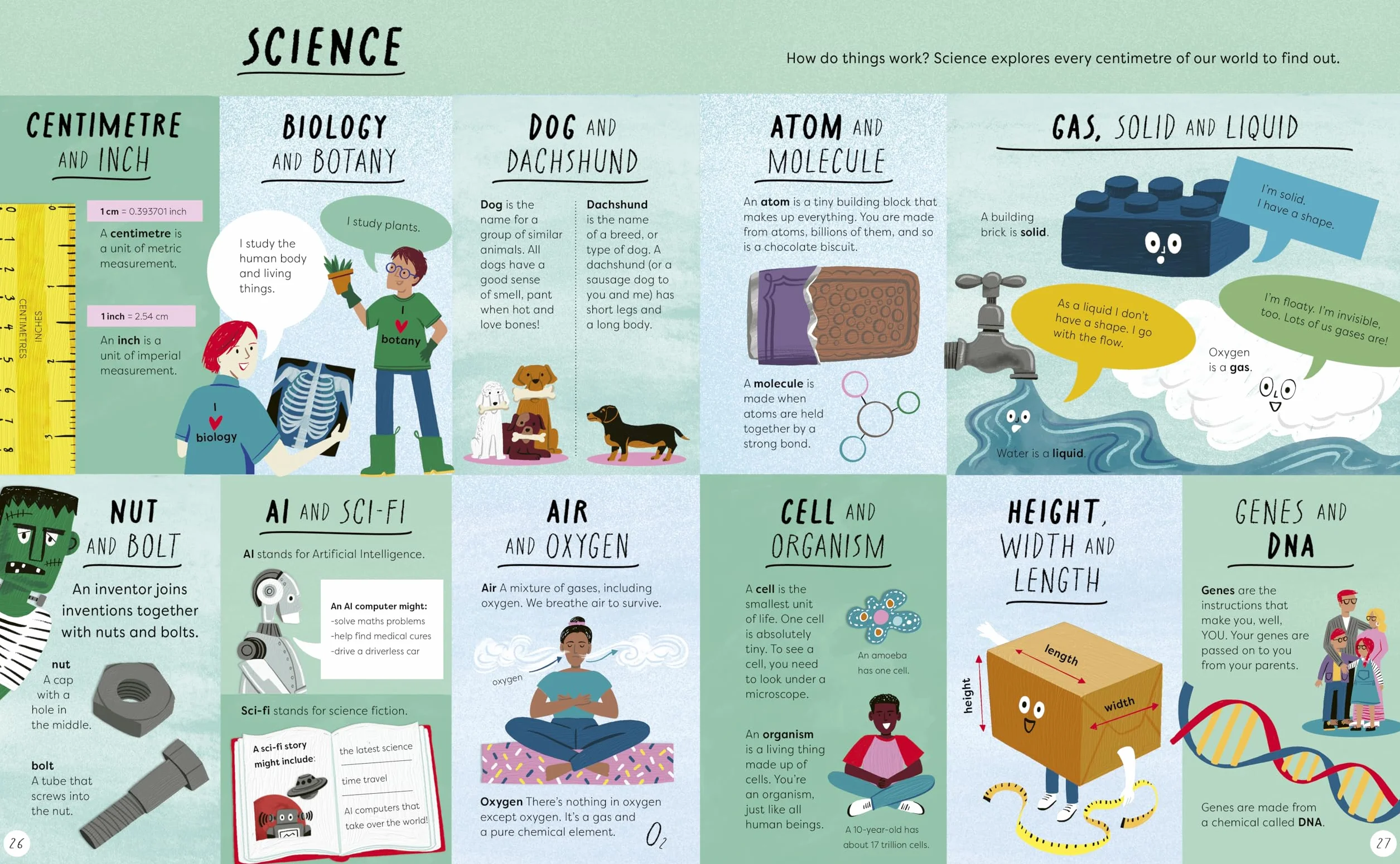 What's the Actually Factually Difference?: How to tell the difference between over 150 things that are similar but different!