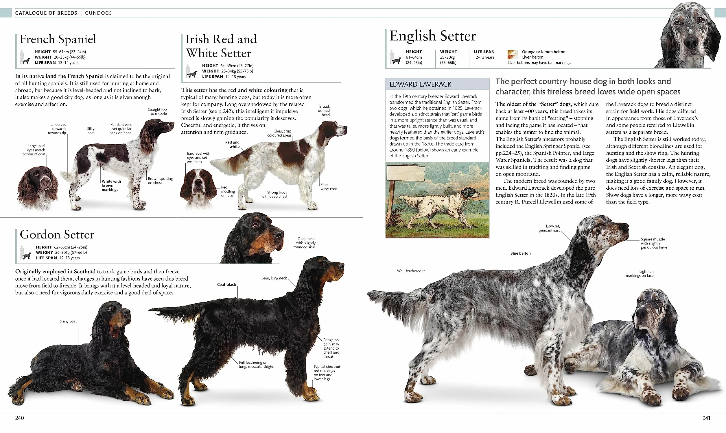 The Dog Encyclopedia: The Definitive Visual Guide