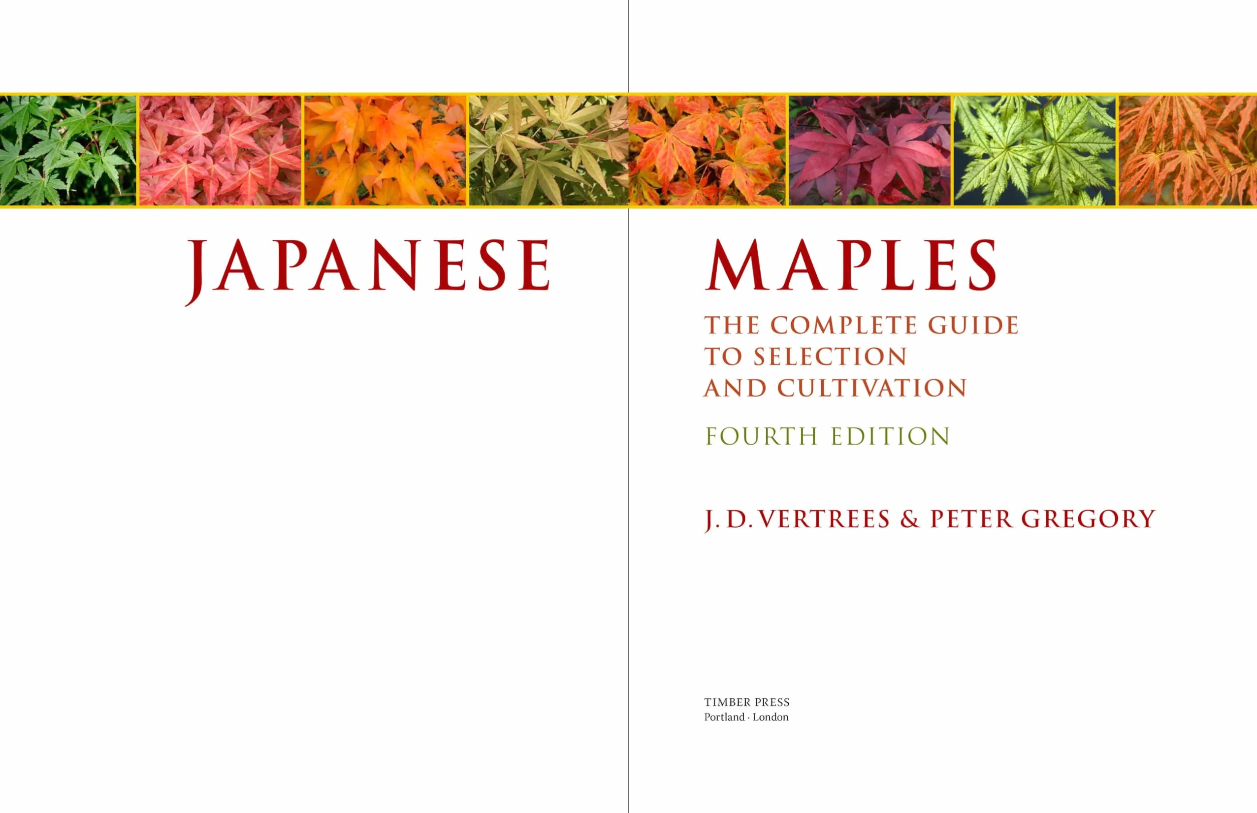 Japanese Maples: The Complete Guide to Selection and Cultivation