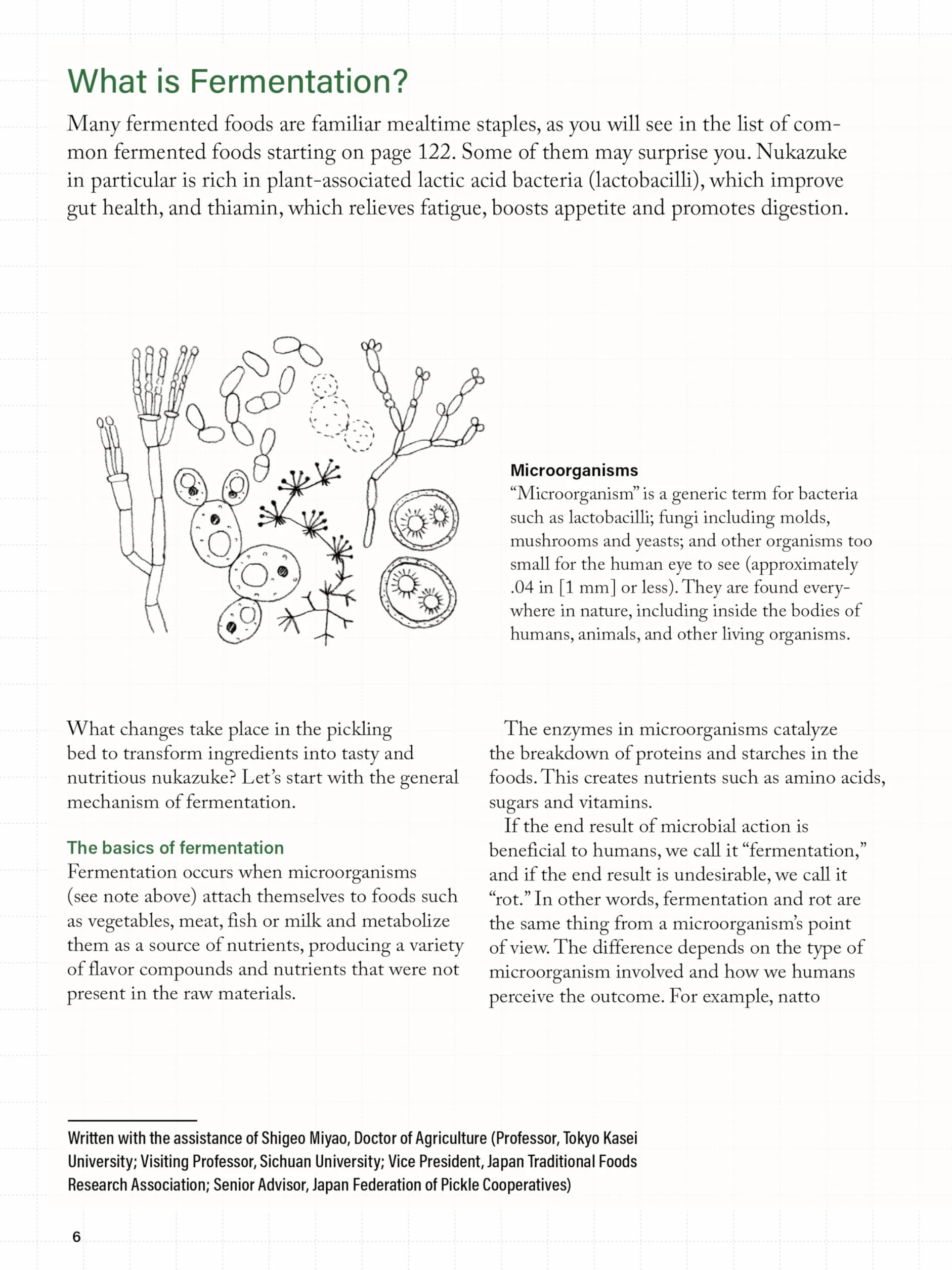 Nukazuke: The Japanese Art of Fermented Pickling