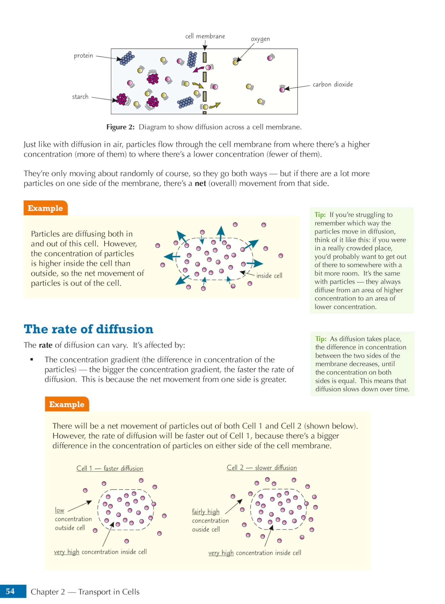 GCSE Biology AQA Student Book (includes Online Edition, Videos and Answers)