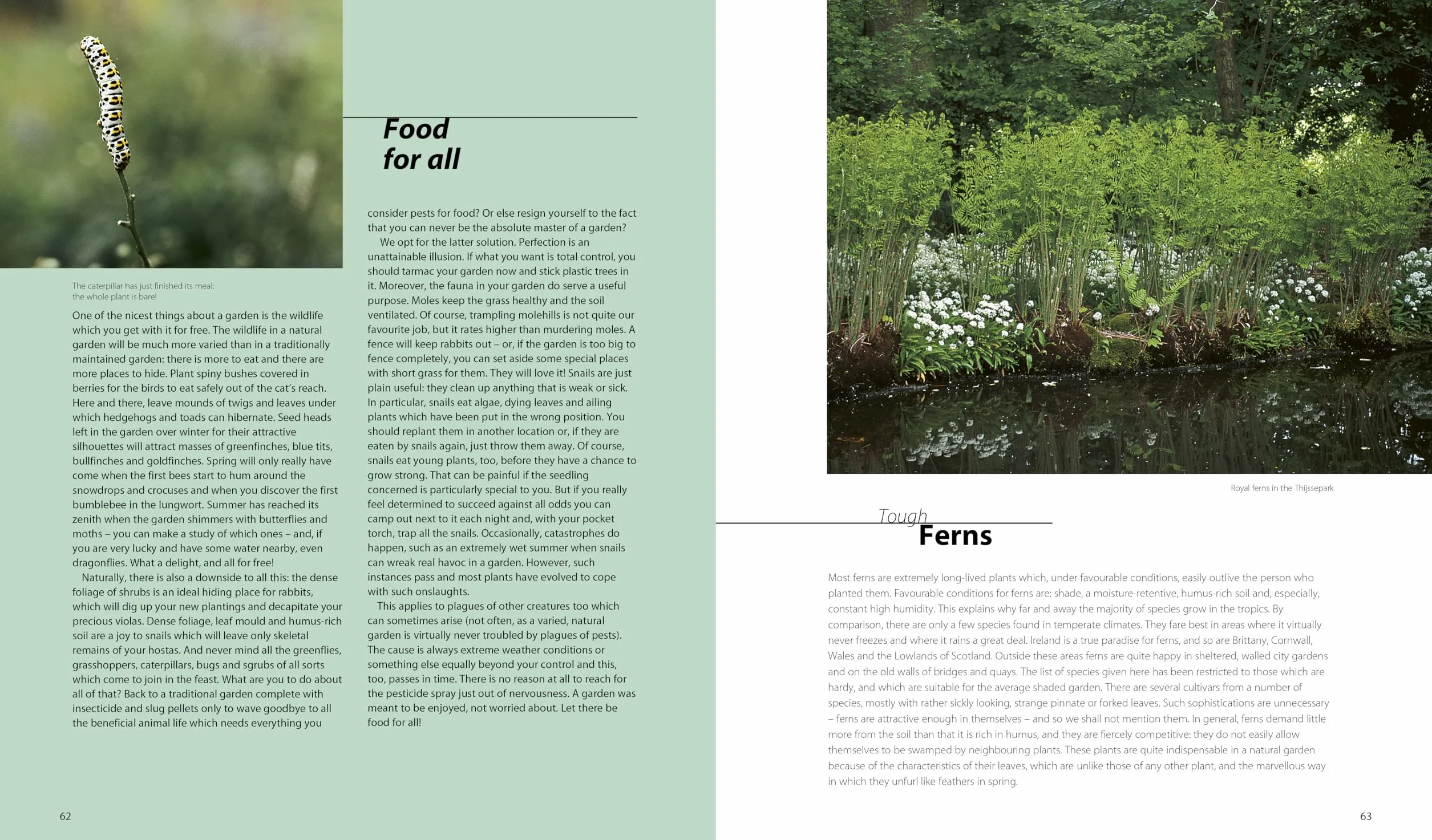 Dream Plants for the Natural Garden /anglais: Over 1,200 Beautiful and Reliable Plants for a Natural Garden