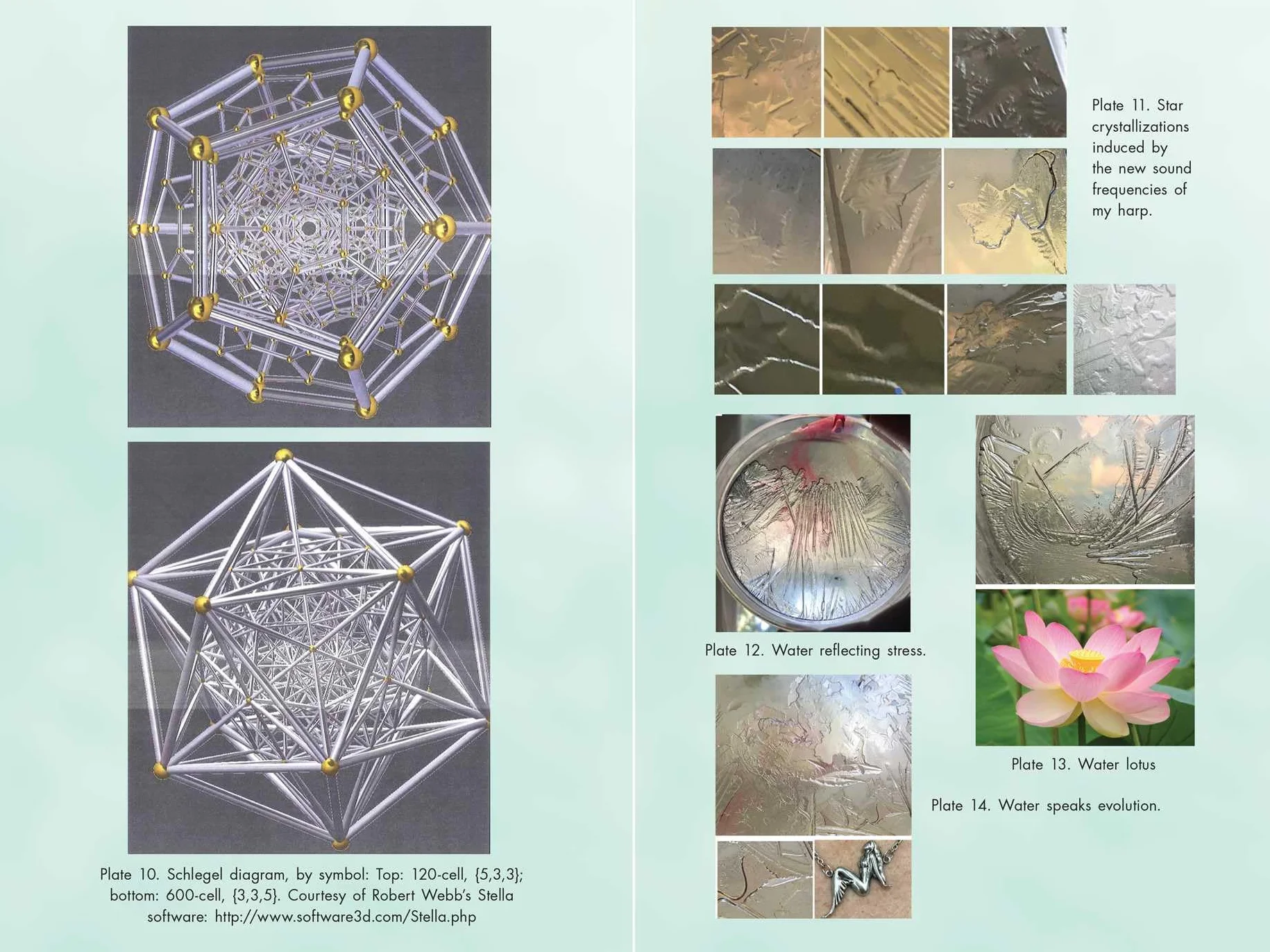 Activating Our 12-Stranded DNA: Secrets of Dodecahedral DNA for Completing Our Human Evolution