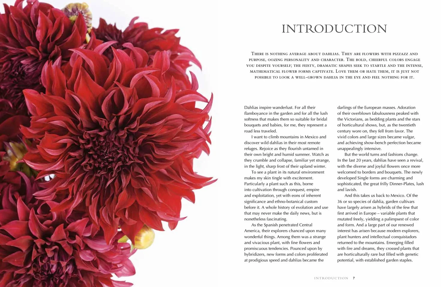 Dahlias: The ultimate flower guide for growing, flowering and cutting varieties for the home and gardening
