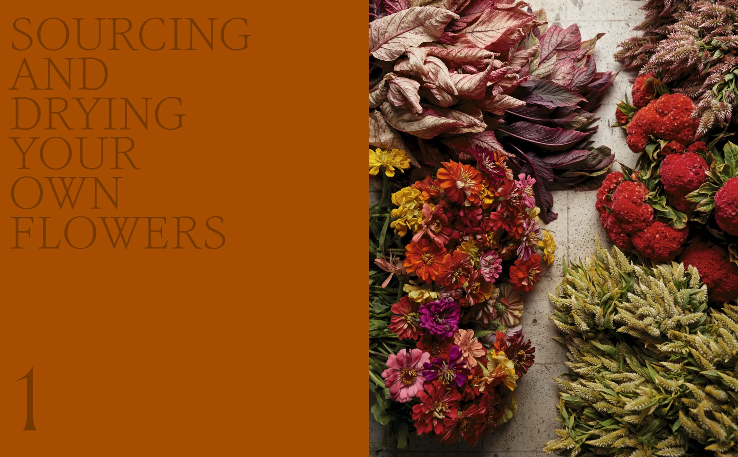 Designing with Dried Flowers: Creating Everlasting Arrangements