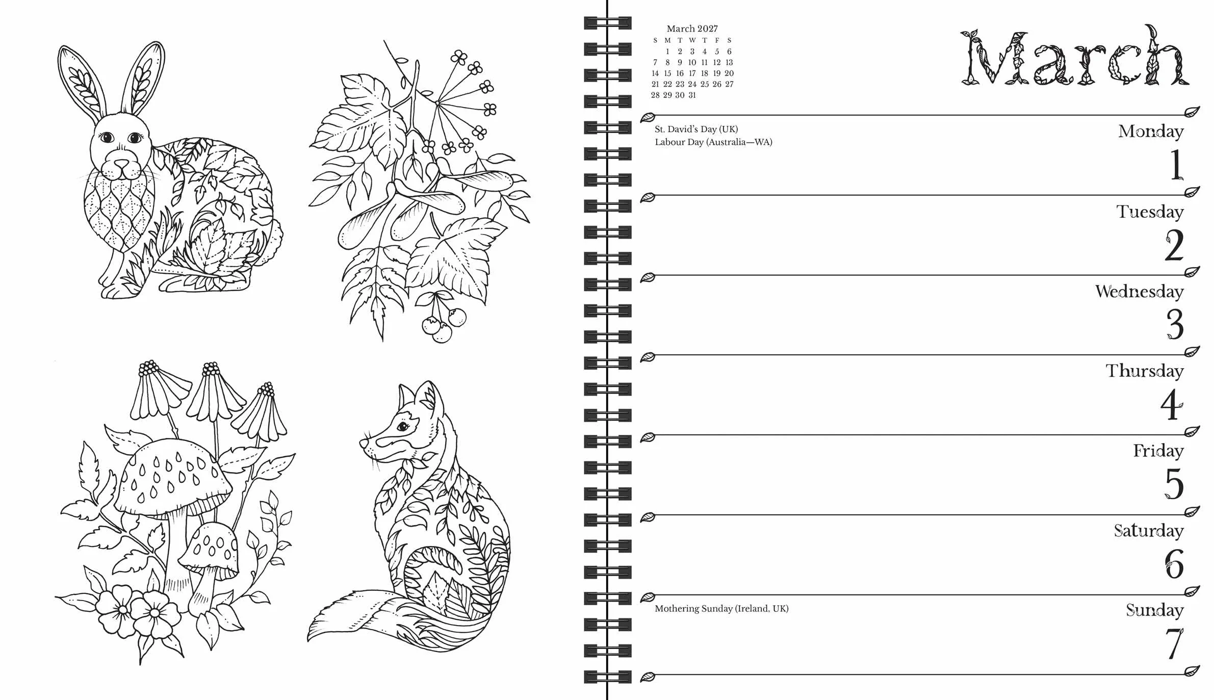 Johanna Basford 2027 Weekly Coloring Calendar