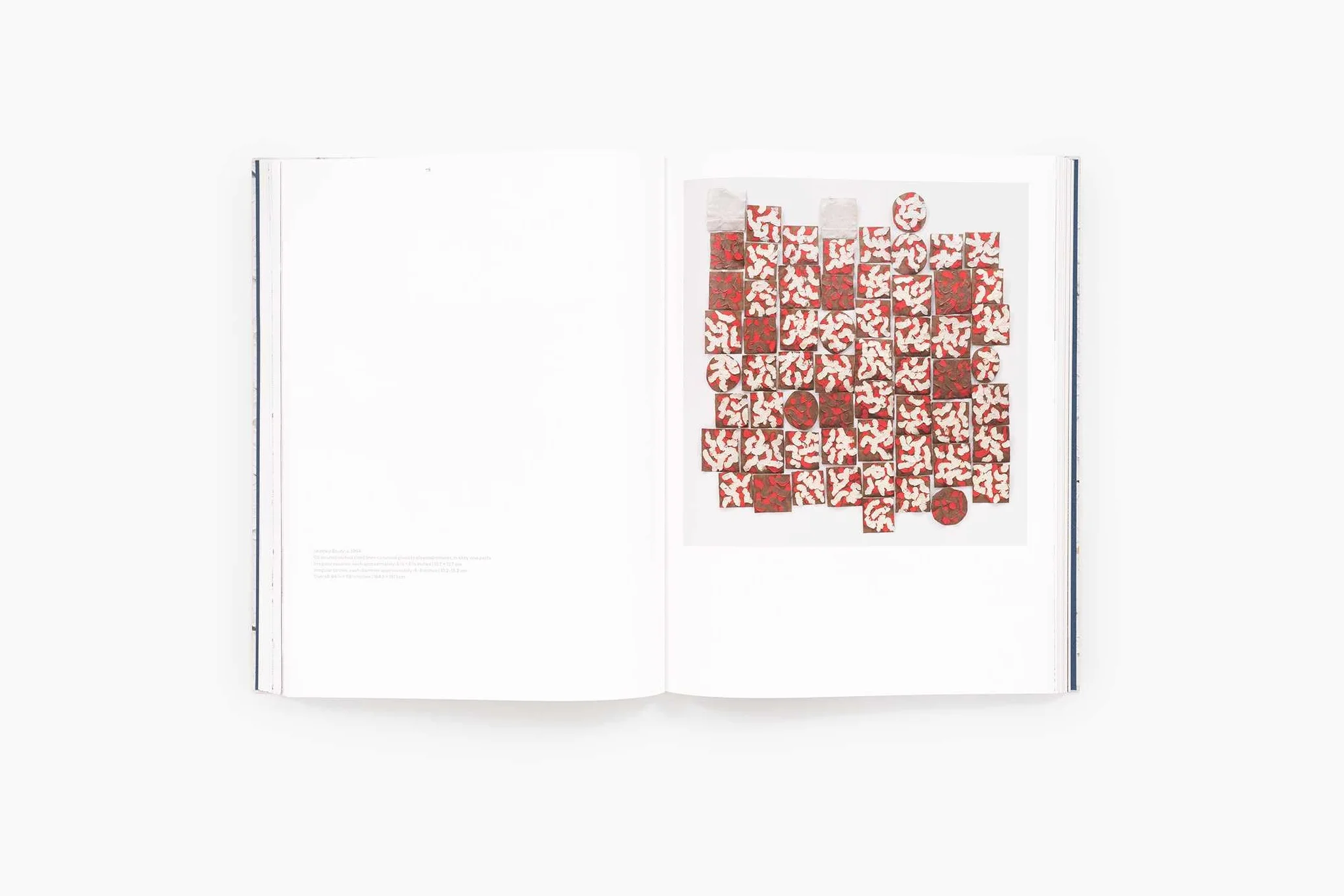 Robert Ryman Early and Late /anglais