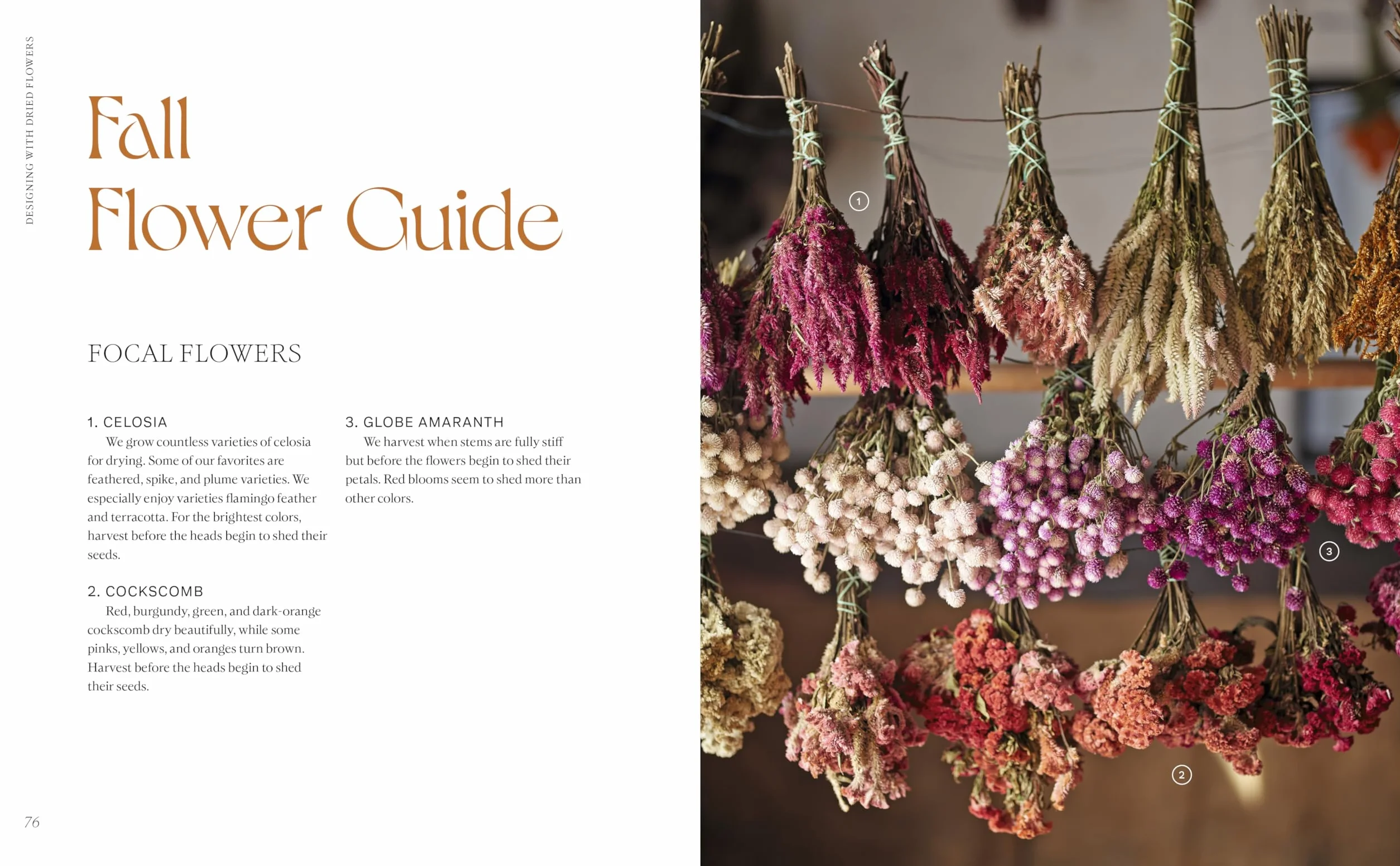 Designing with Dried Flowers: Creating Everlasting Arrangements