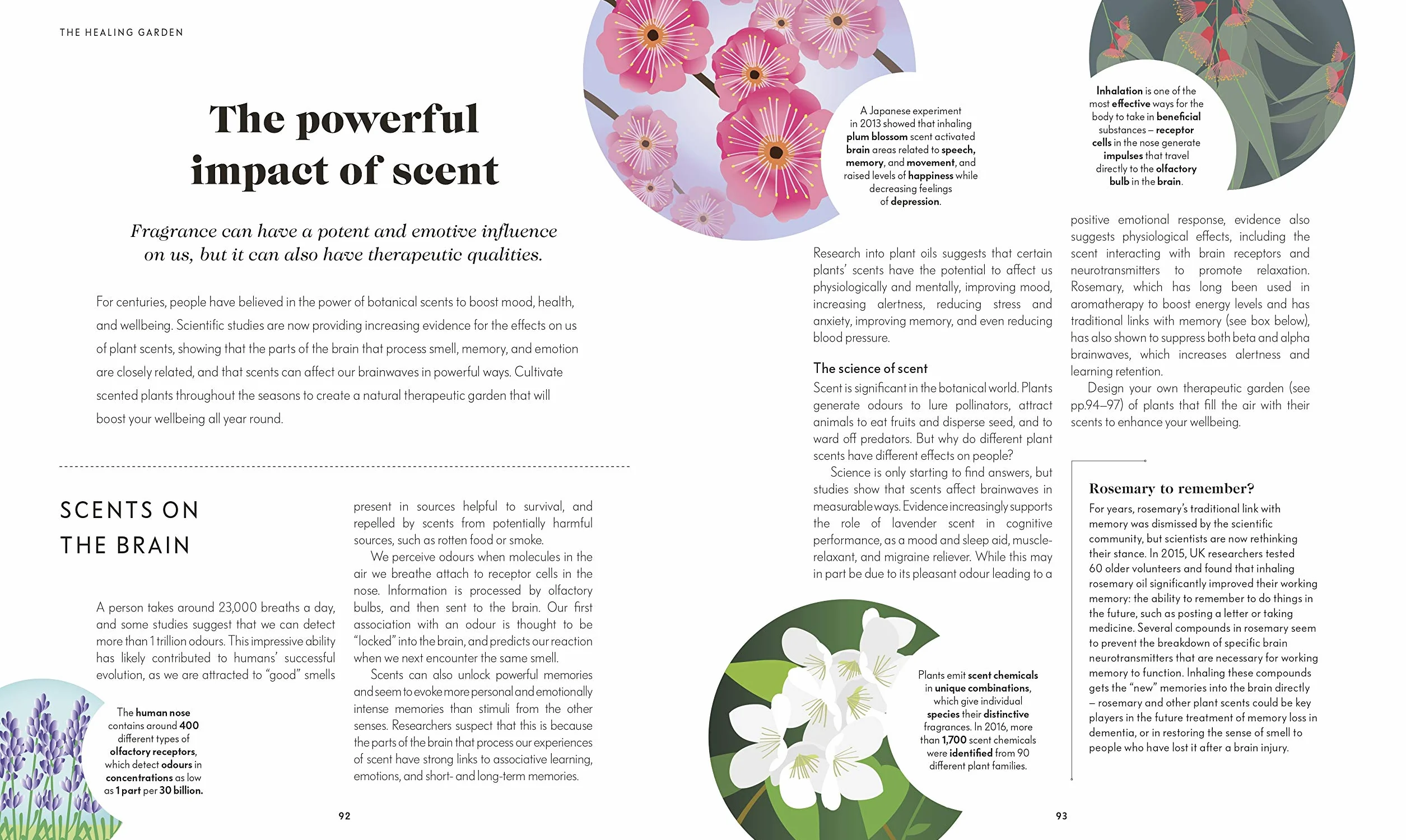 RHS Your Wellbeing Garden: How to Make Your Garden Good for You - Science, Design, Practice